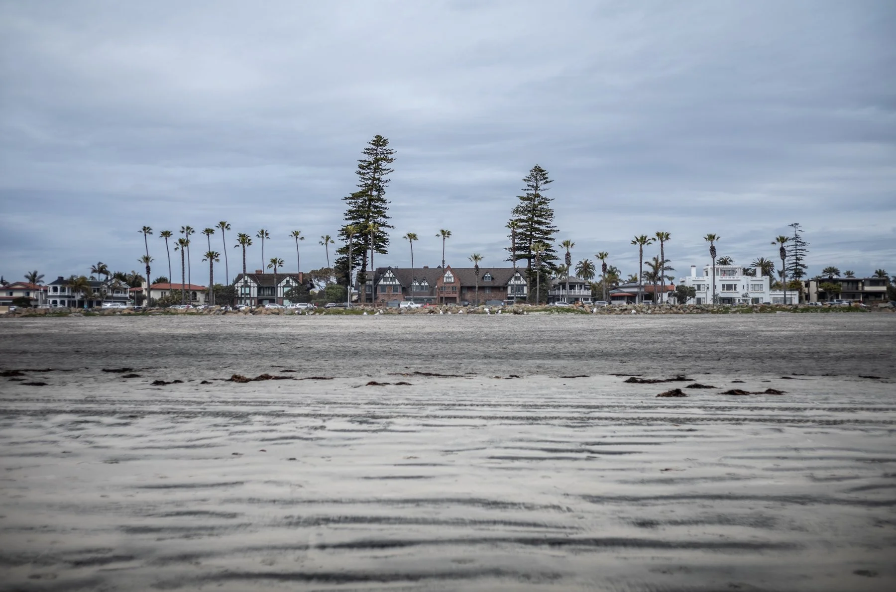 230315-L1003185-FANCY STREET.jpg