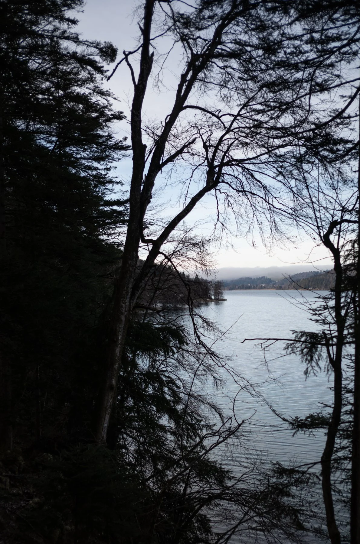 FREEZING LAKE THOUGHT