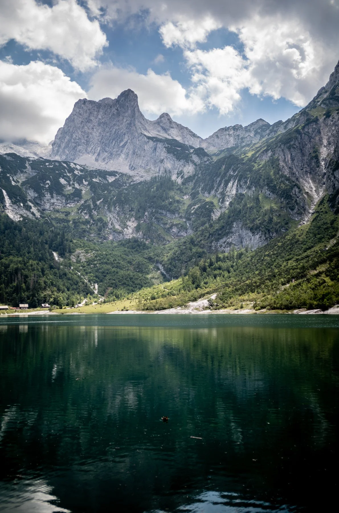 250810-L1002787-GOSAU IN AUGUST THREE.jpg