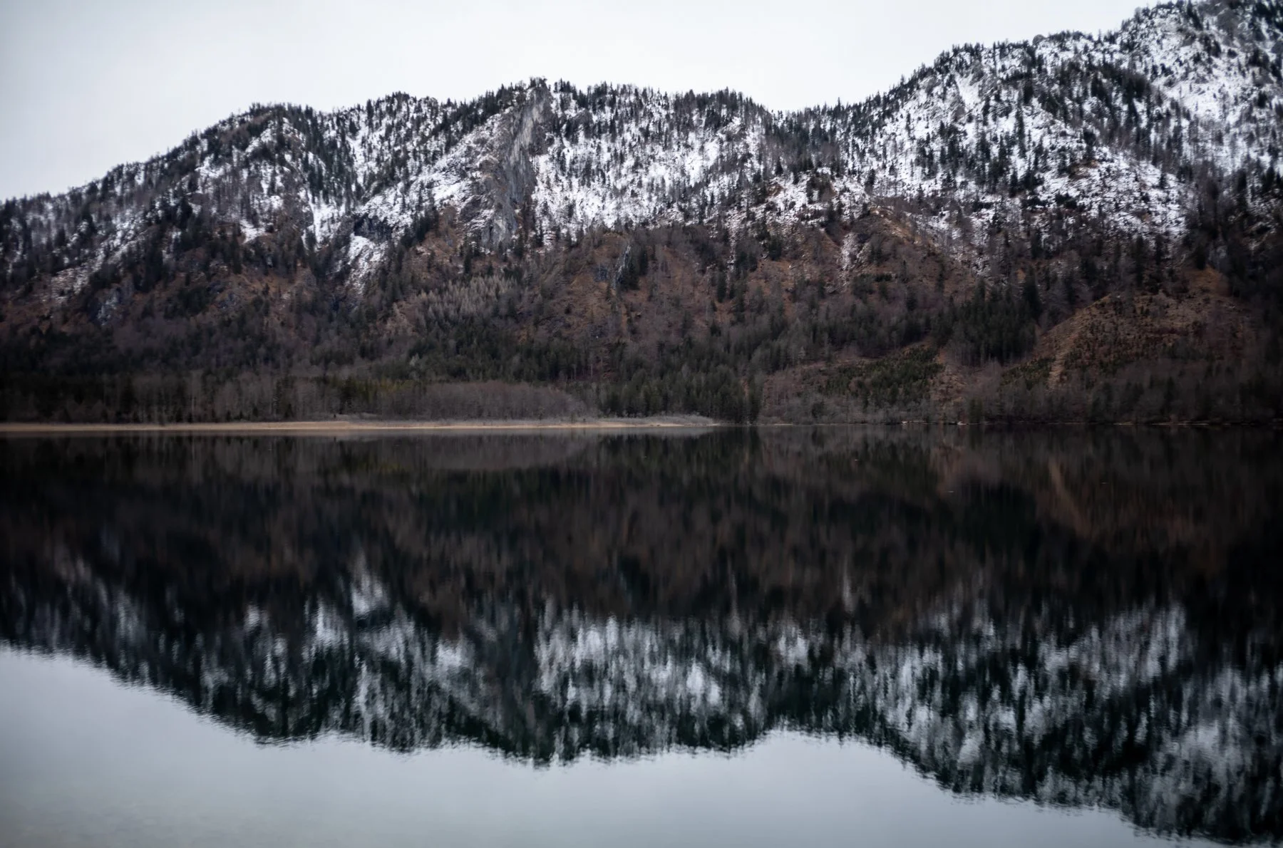 241207-L1000956-OFFEN FOUR.jpg