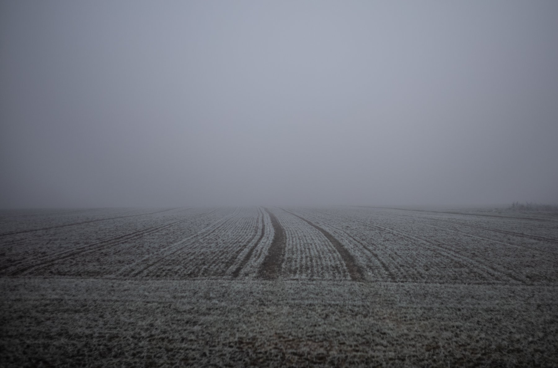 The Natural Minimalism