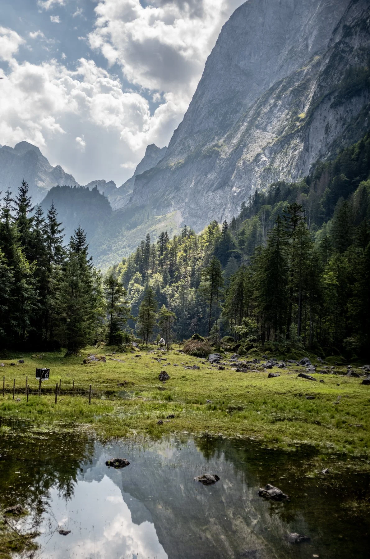 250810-L1002750-GOSAU IN AUGUST ONE.jpg