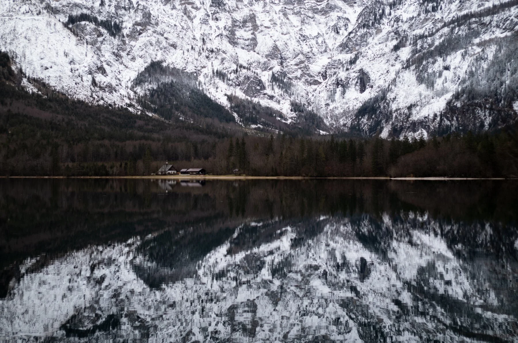 OFENSEE REFLECTIONS