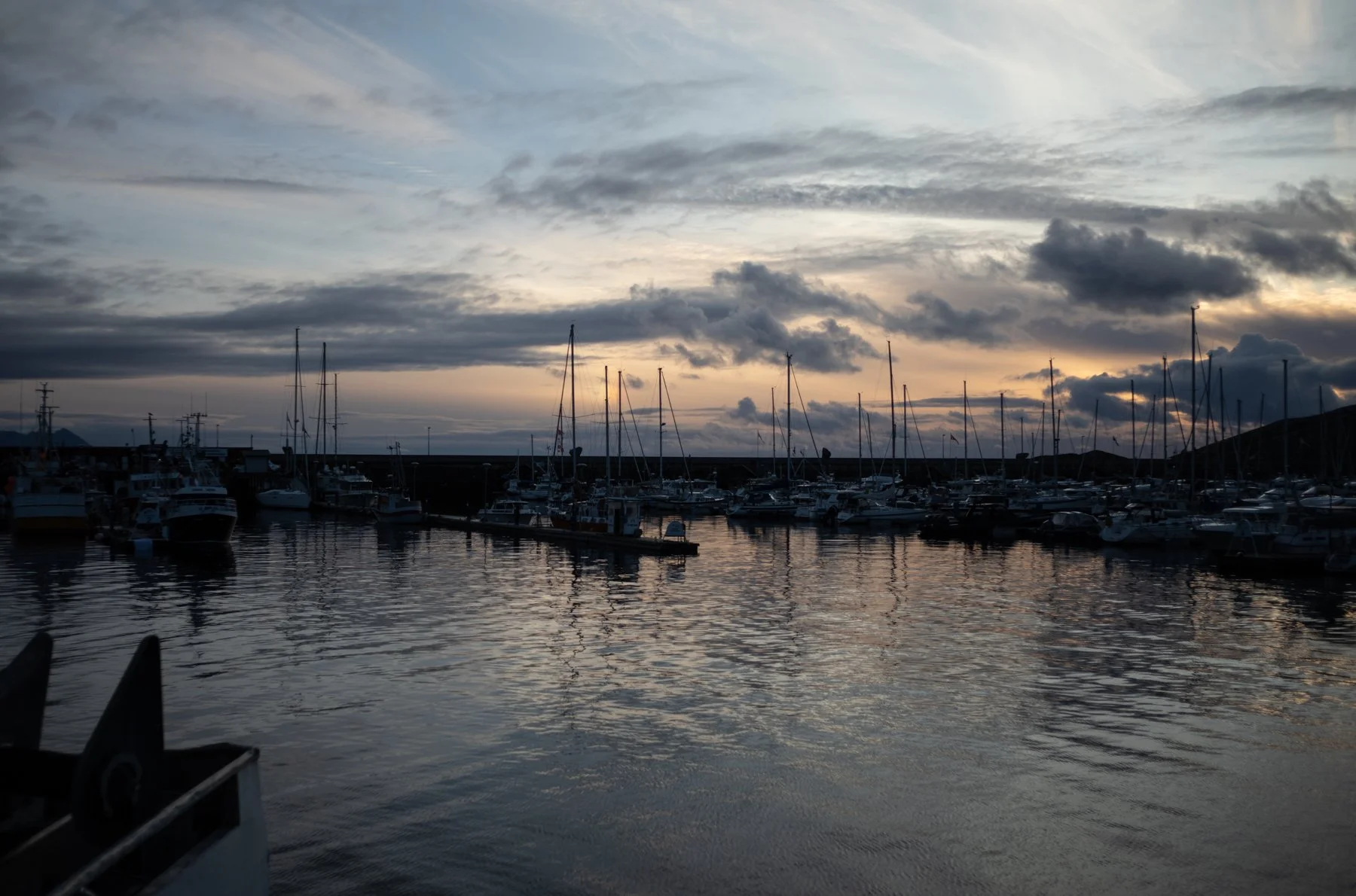 230917-L1005322-QUIET BODO FOUR.jpg