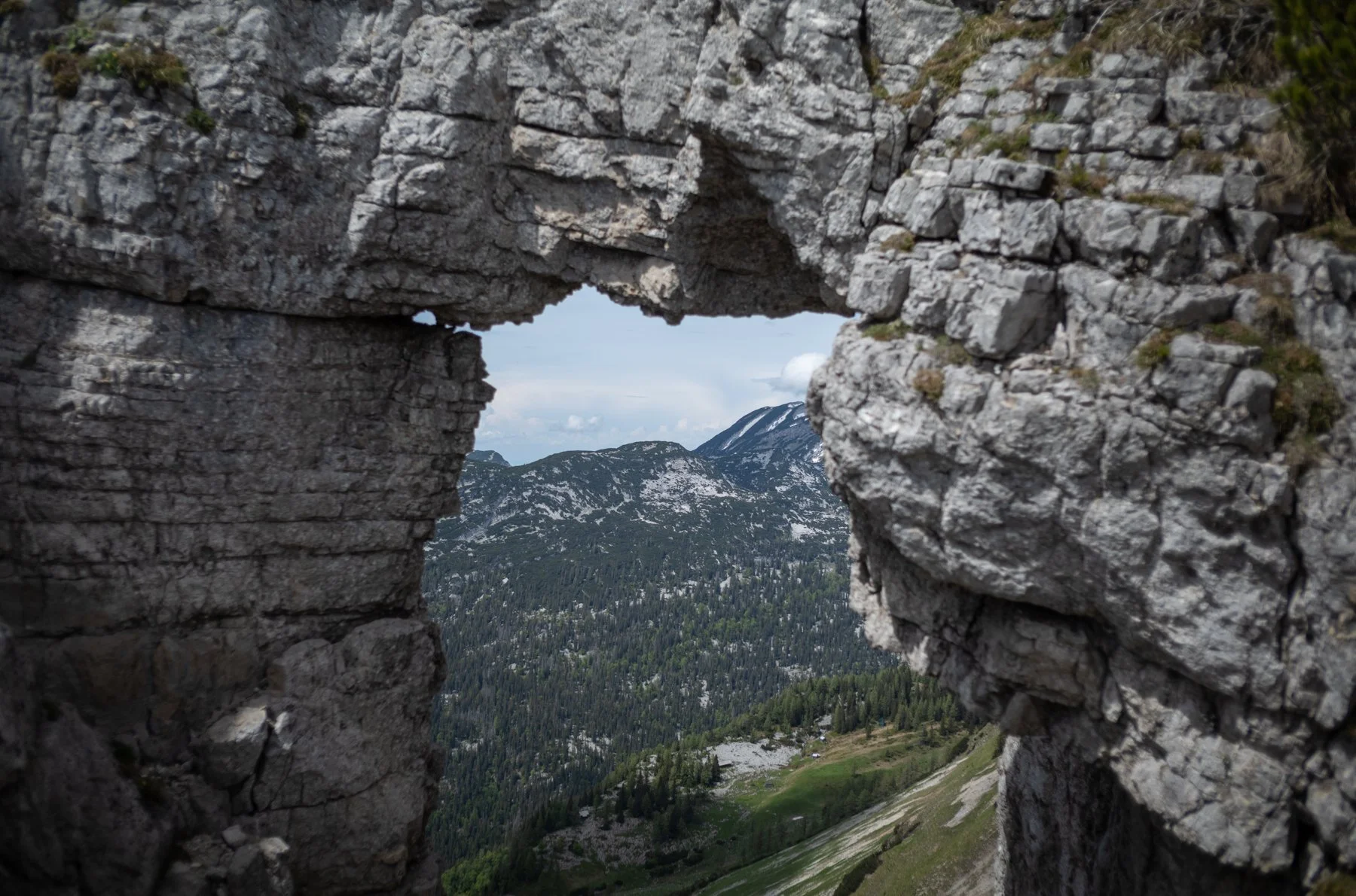 240527-L1007381-LOSER IN MAY THREE.jpg