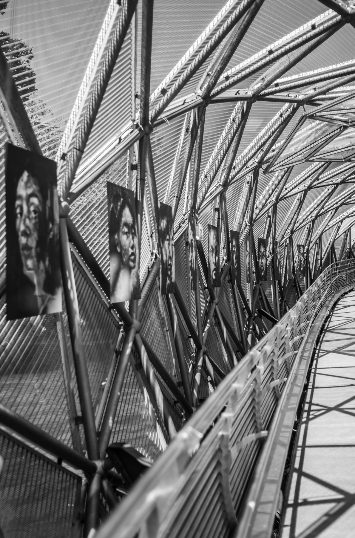 250719-L1002541-THE BRIDGE TWO.jpg