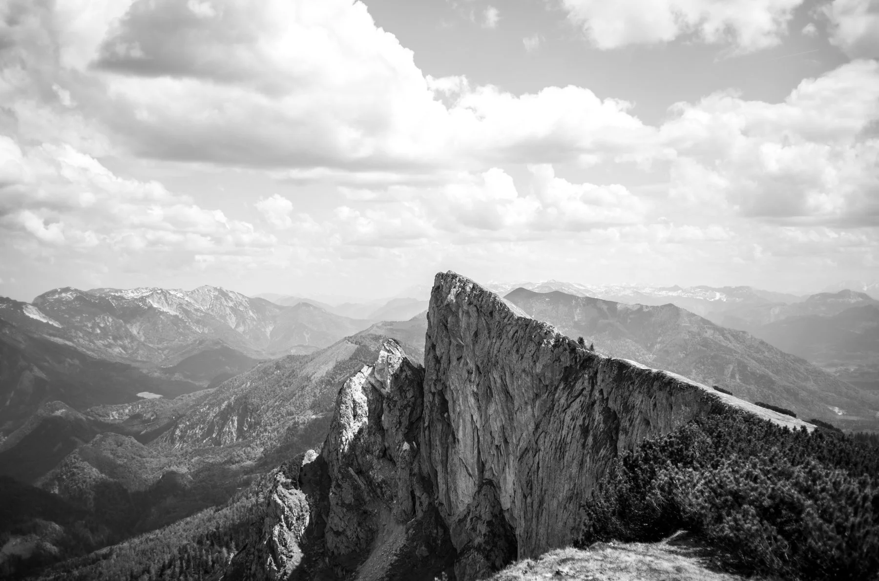 230522-L1004373-SCHAFBERG THREE.jpg