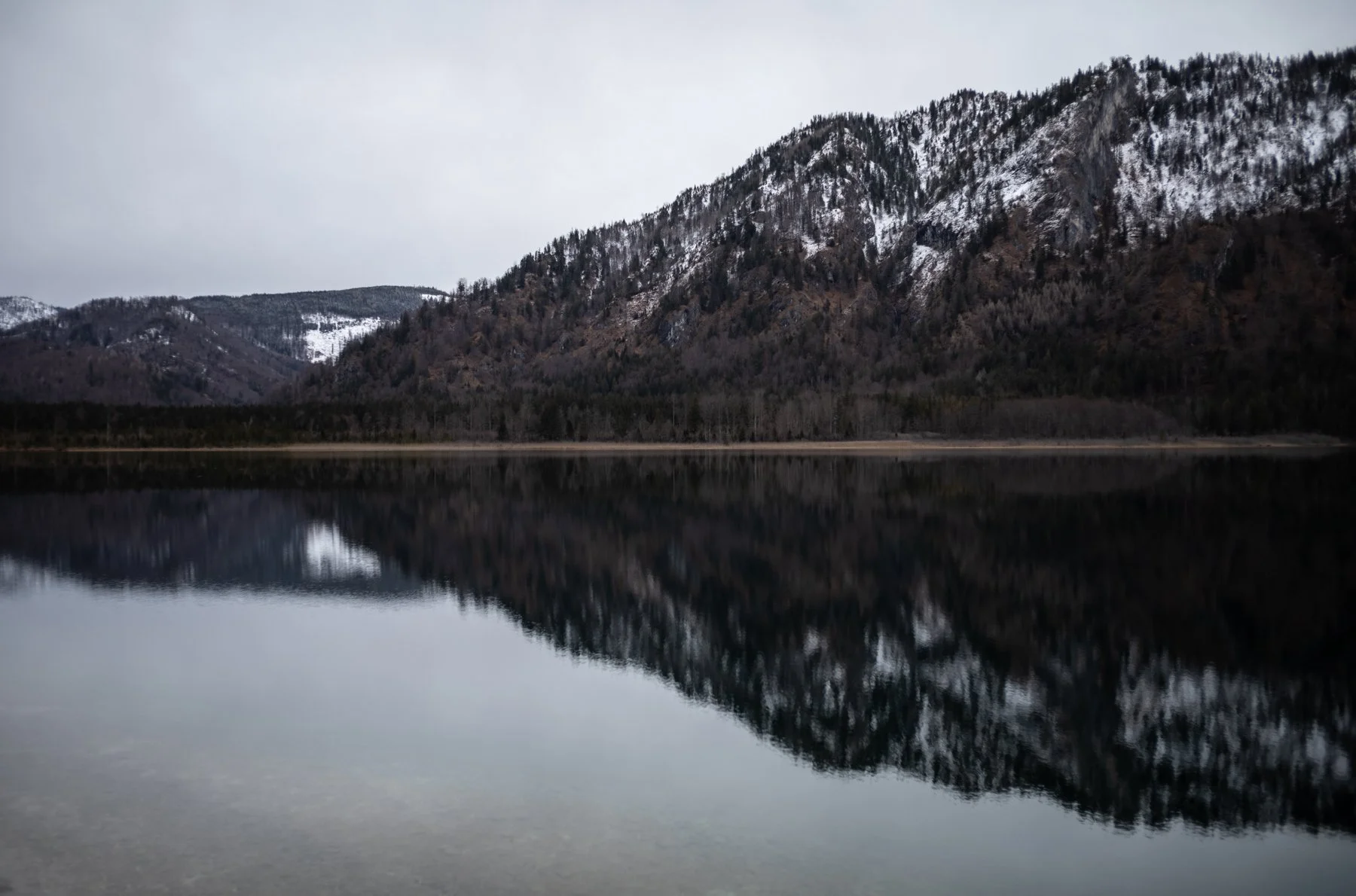 241207-L1000957-OFFEN FIVE.jpg