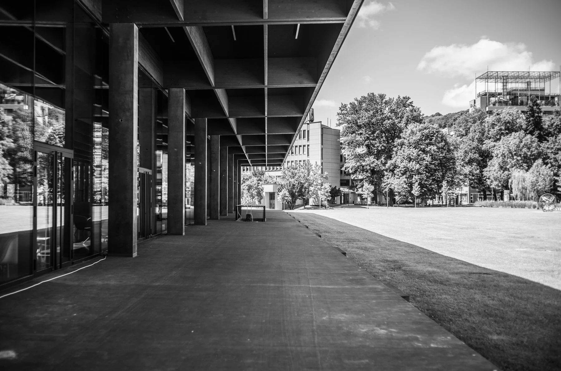 240524-L1007262-KNOWLEDGE IN THE AIR.jpg