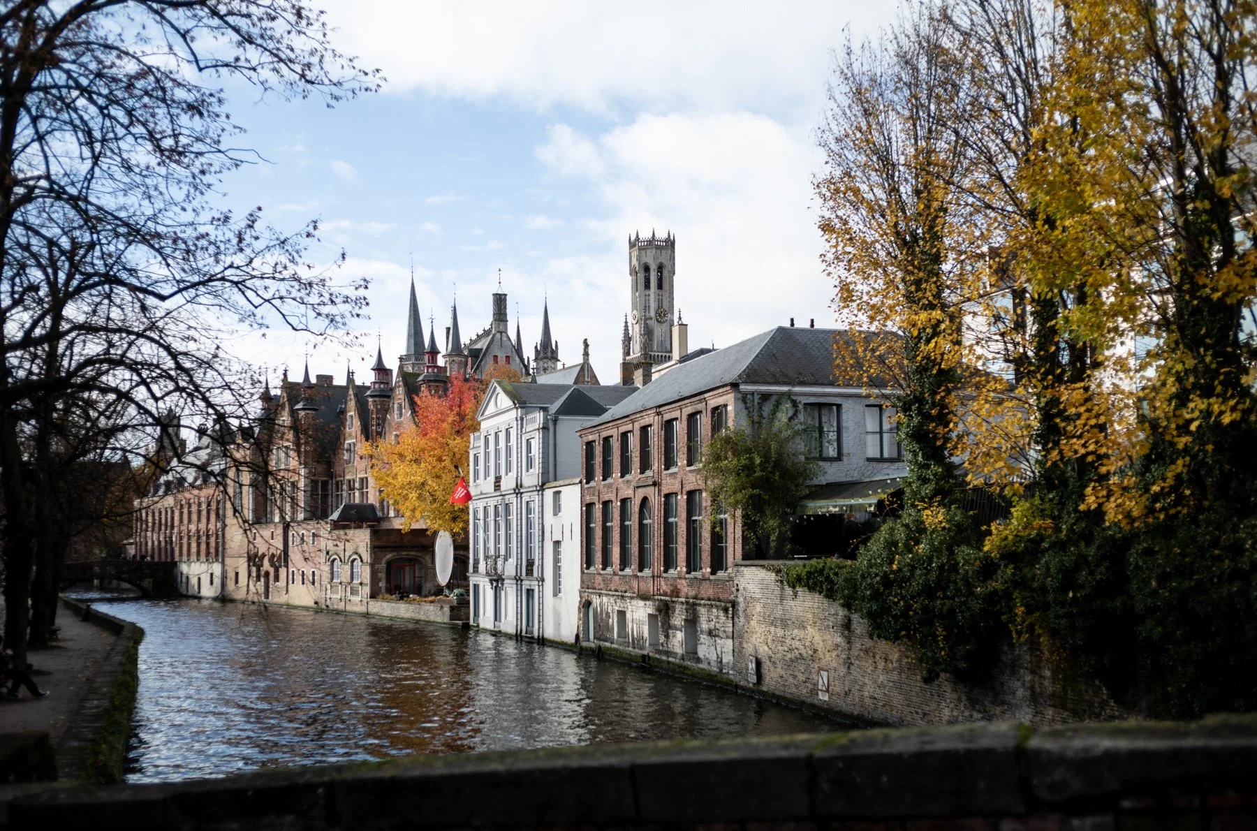 231121-L1006313-BRUGGE ALMOST SLEEPING FIVE.jpg