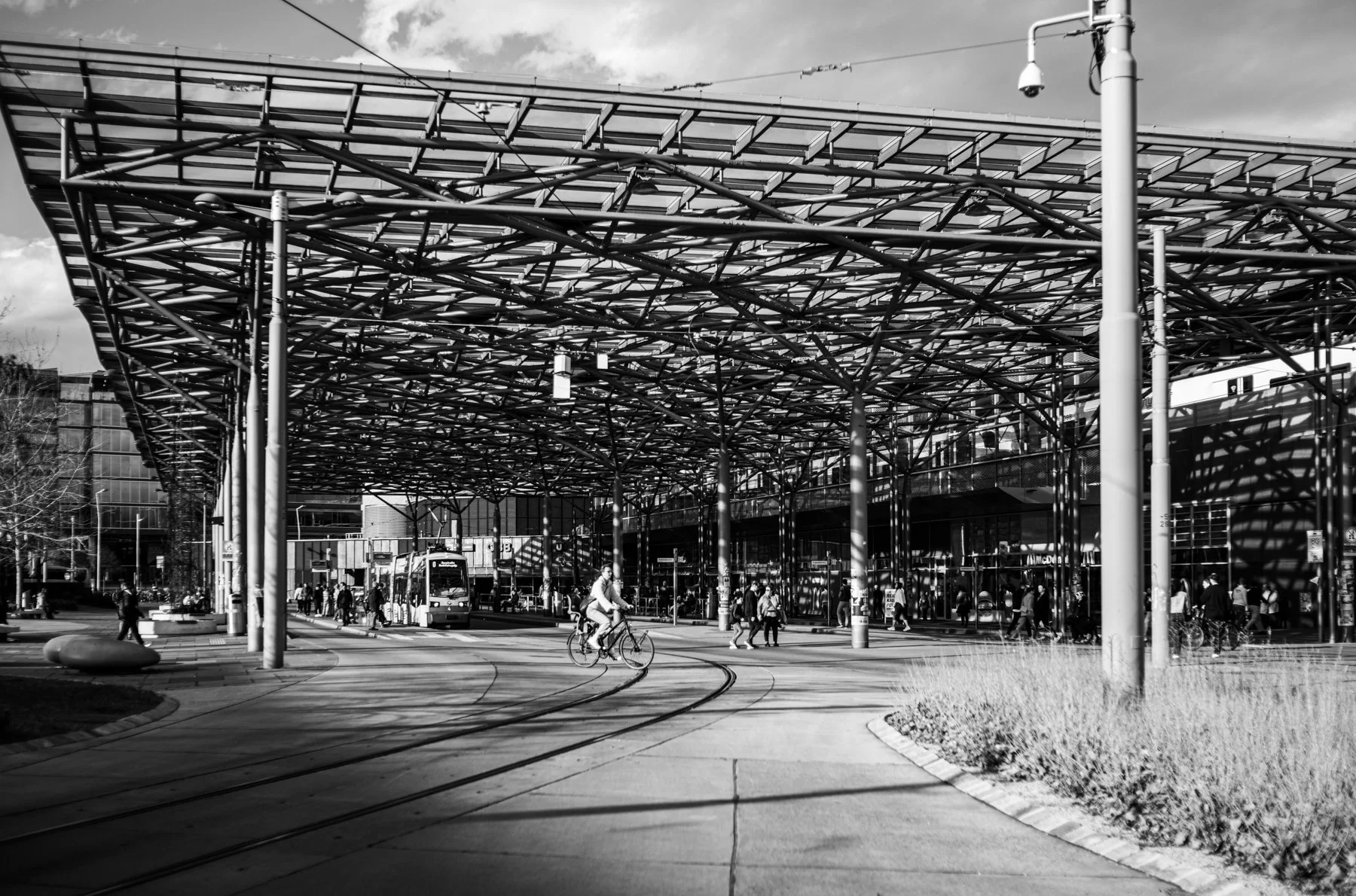 250323-L1001348-PRATERSTERN SHADOWS FOUR.jpg