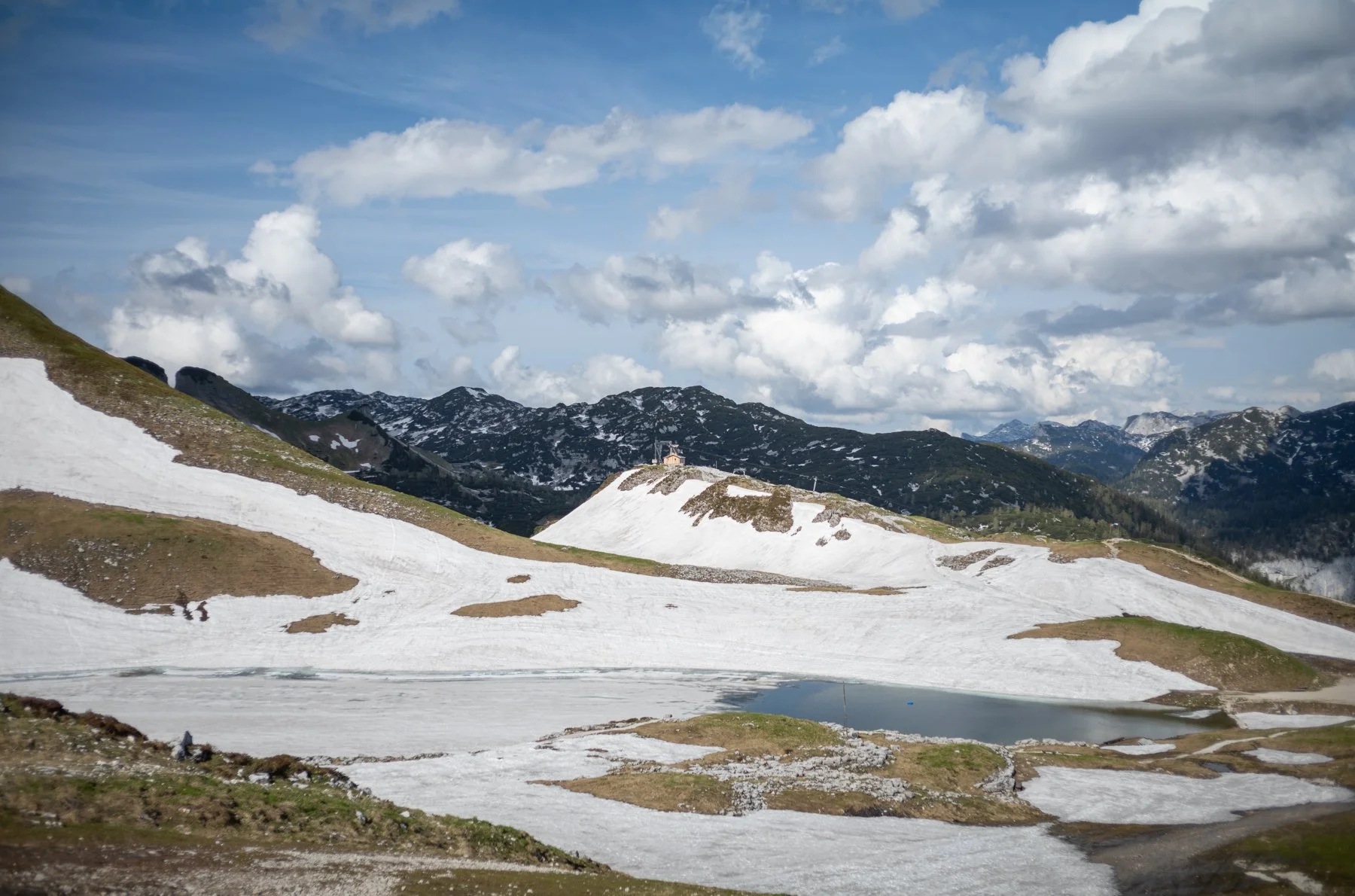 240527-L1007429-LOSER IN MAY SIX.jpg