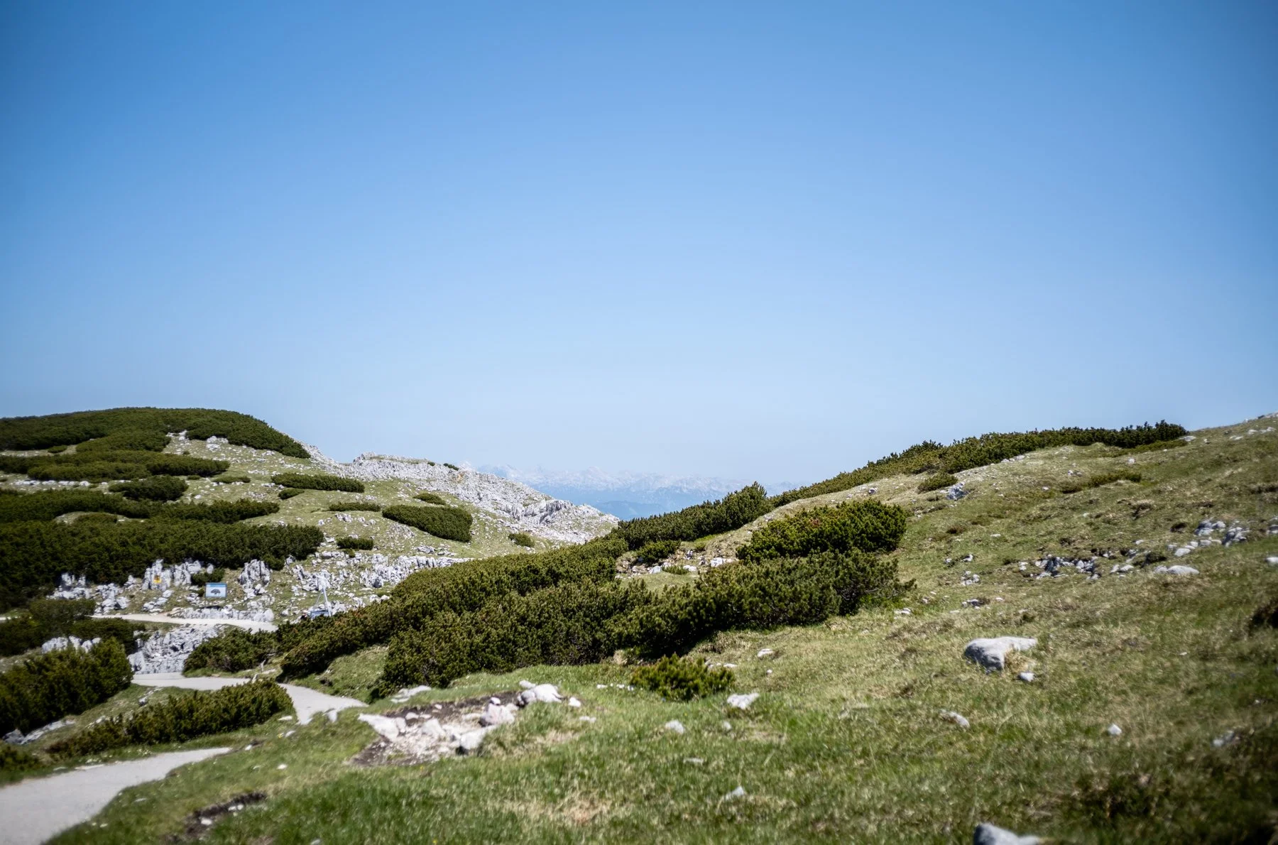 250614-L1002219-FOORHILLS OF DACHSTEIN FIVE.jpg