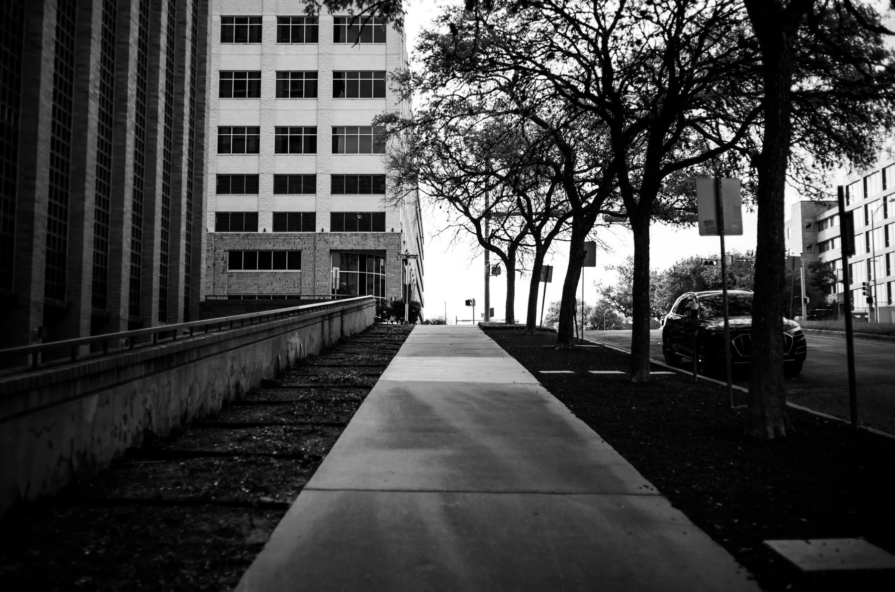 A Rare Hill in Austin