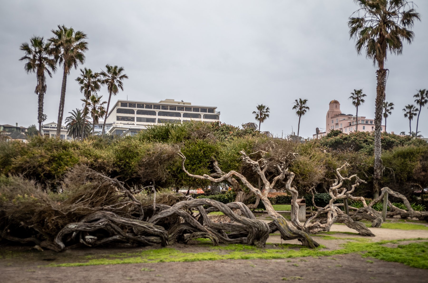 Natural Installation