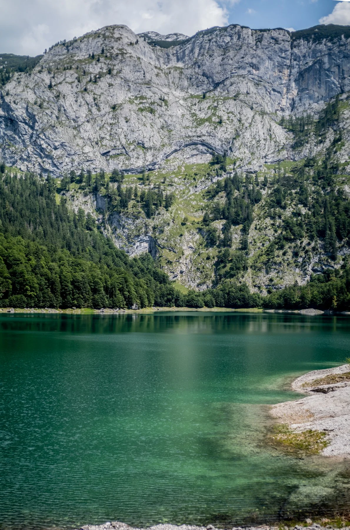 250810-L1002796-GOSAU IN AUGUST FOUR.jpg