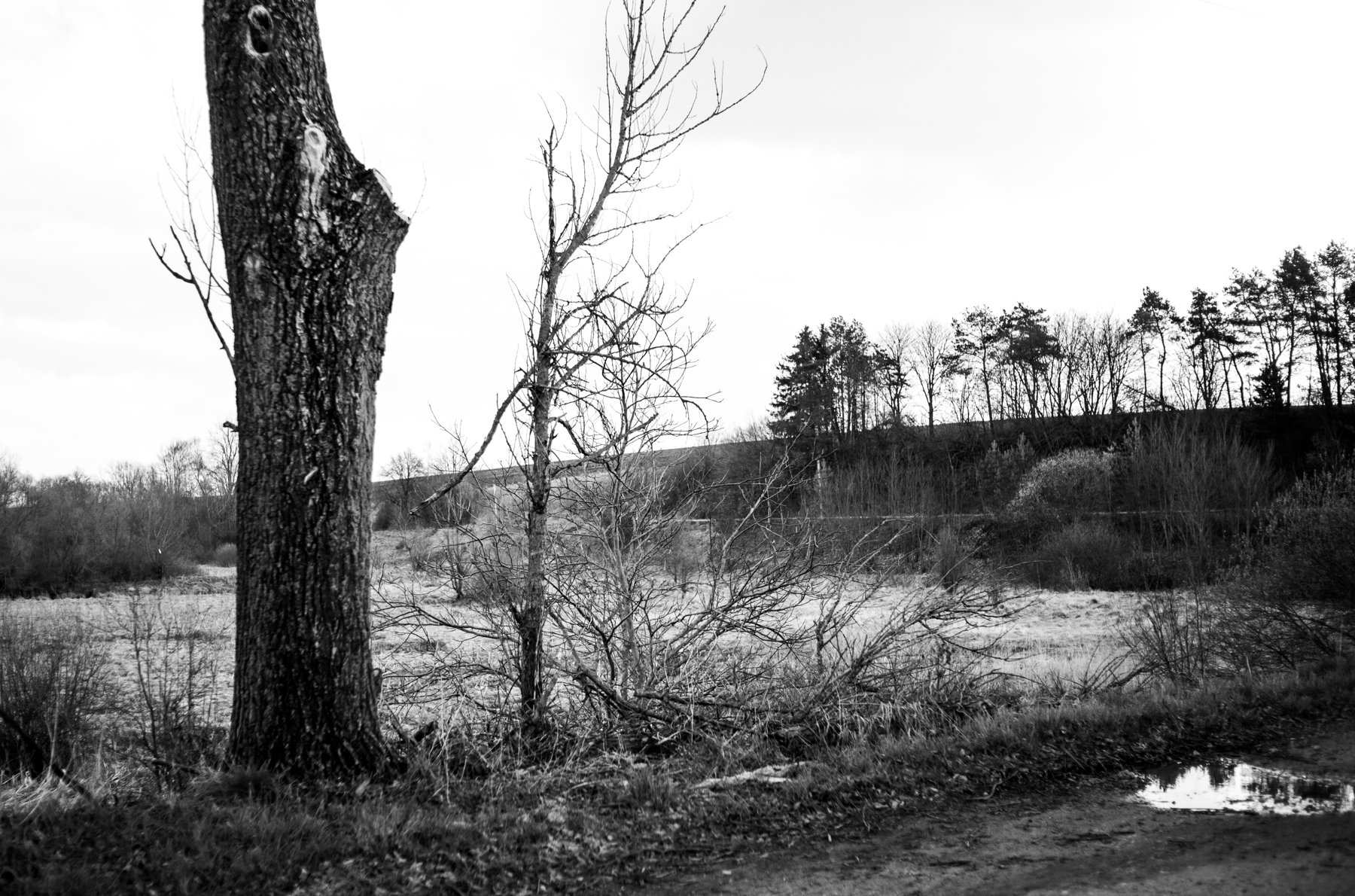 The Sadness of Spring