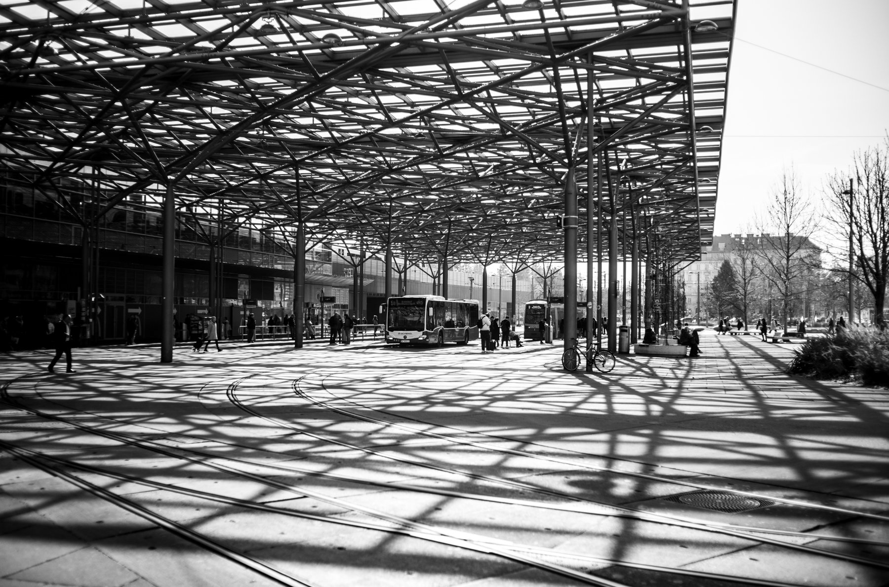 250309-L1001287-PRATERSTERN SHADOWS ONE.jpg