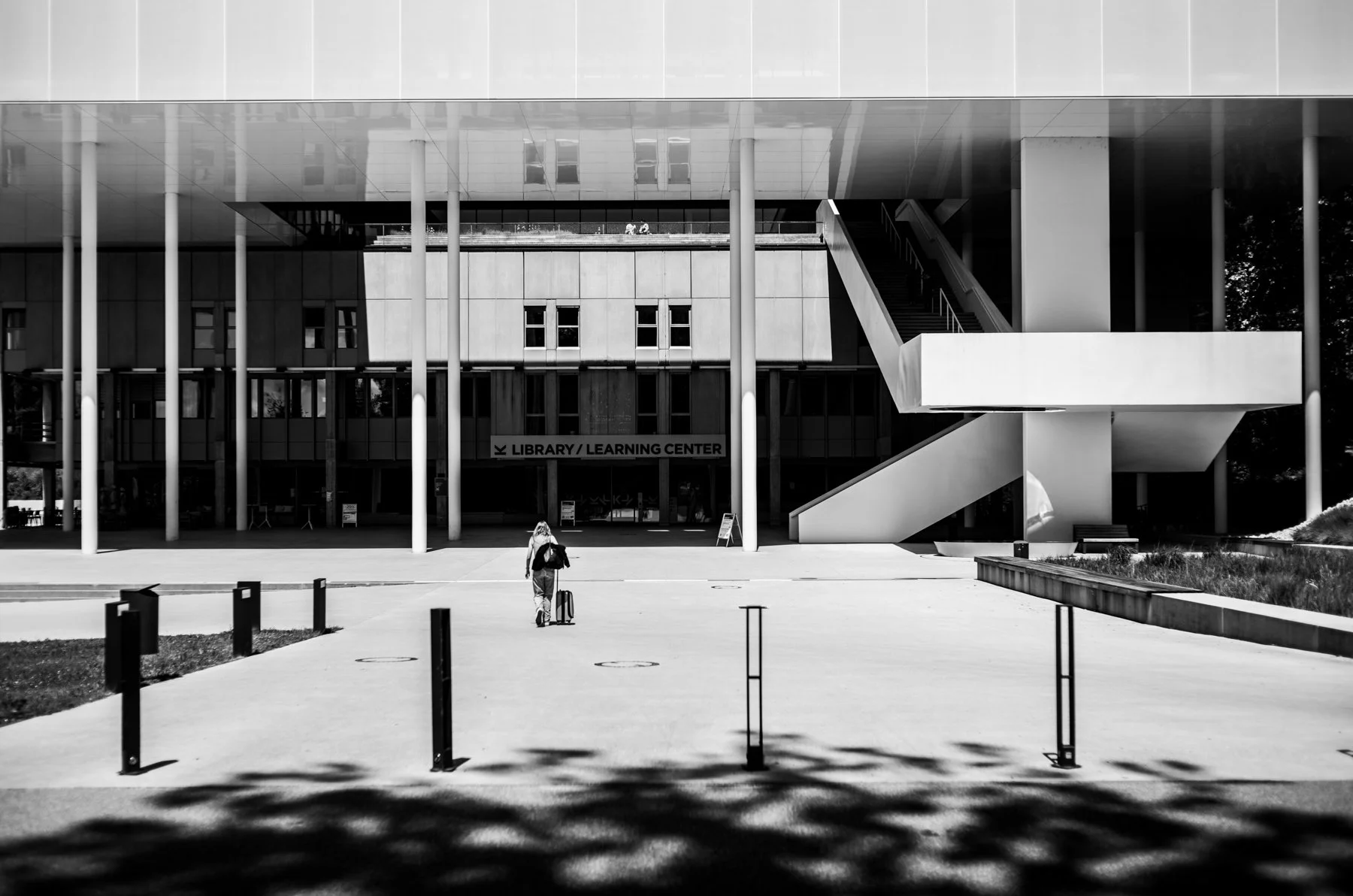 240524-L1007252-KNOWLEDGE IN THE AIR AROUND LIBRARY.jpg