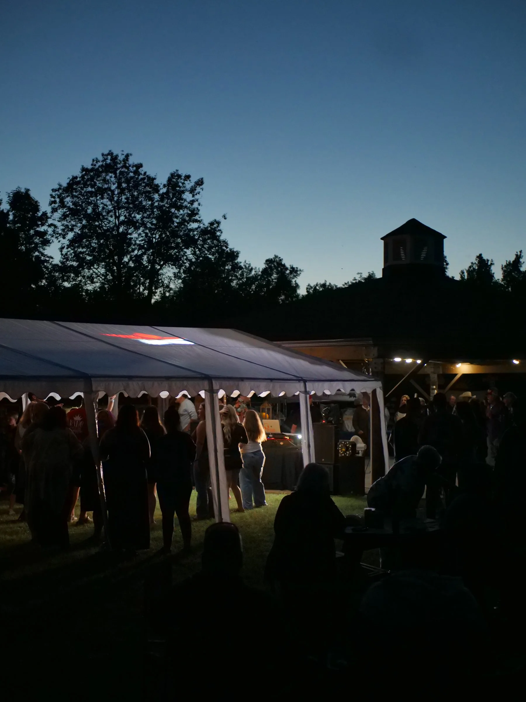 FFEST_NIGHT (50)sm.jpg