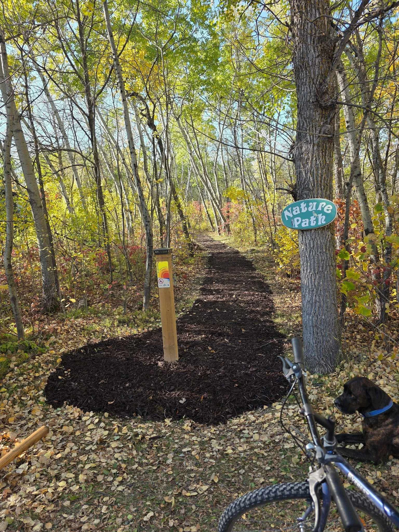 Our community trails are adopted by volunteers who maintain them. This one is located in a wooded area at end of Hillside Point Rd near the boat launch with a sign that reads 'Nature Path'.