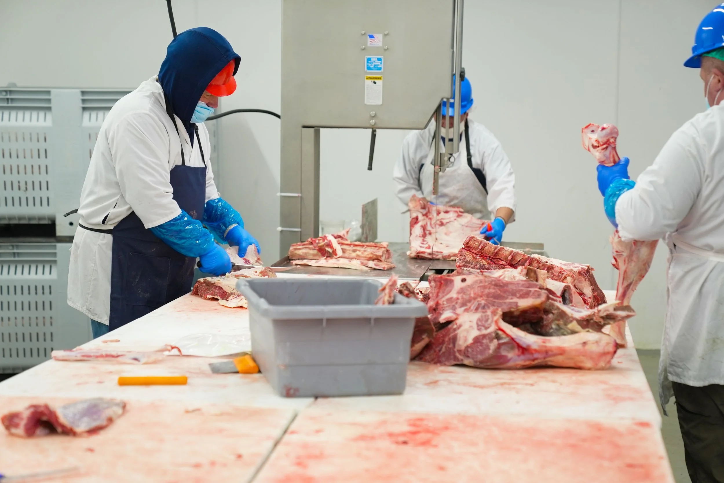 Workers in protective gear processing large cuts of meat in a meat processing facility.