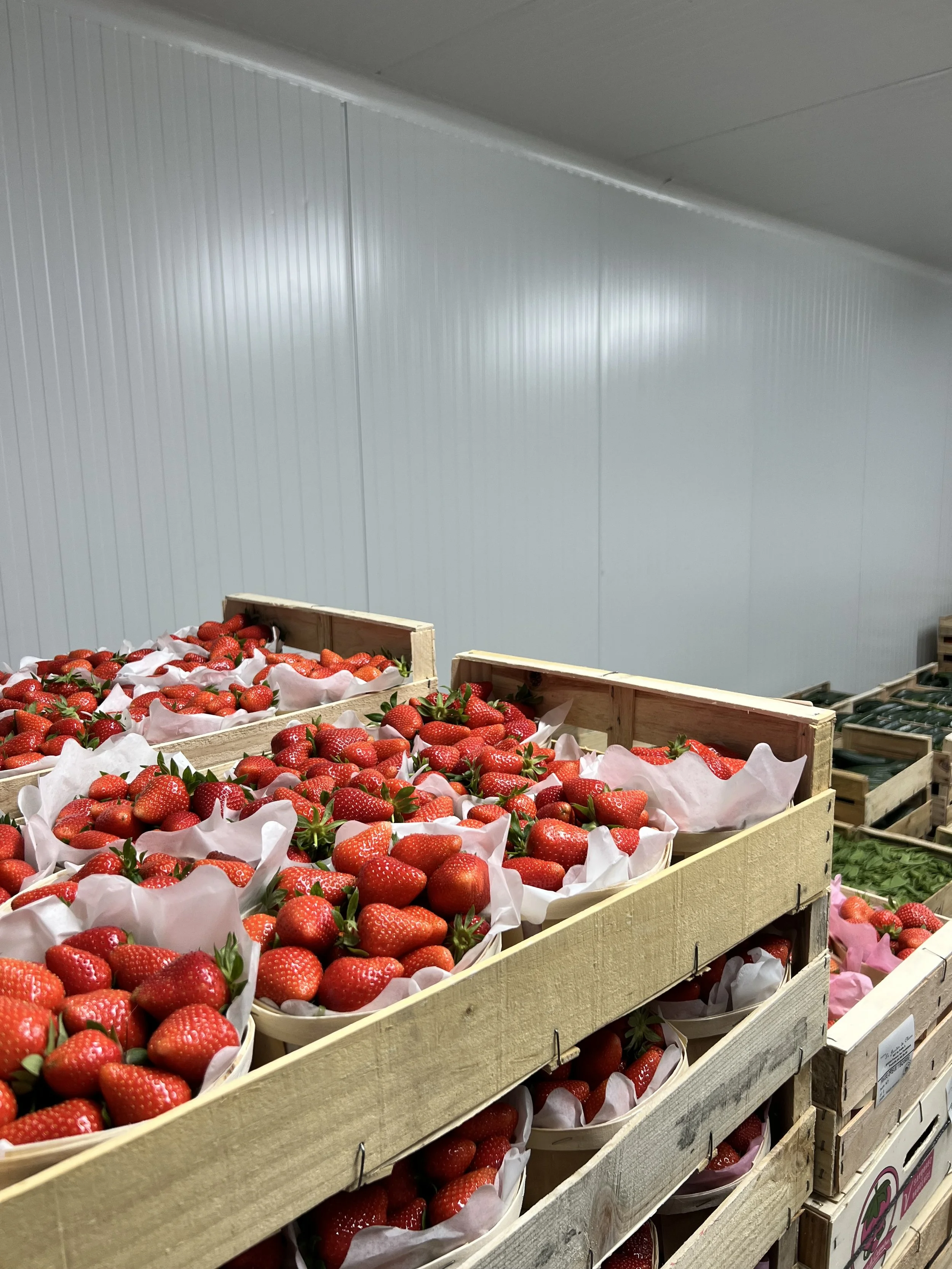 Conservation de fruits et légumes en chambre froide positive. Chambre froide professionnelle installée par MS ECO TECH pour le stockage et la conservation de fruits frais dans un commerce alimentaire.