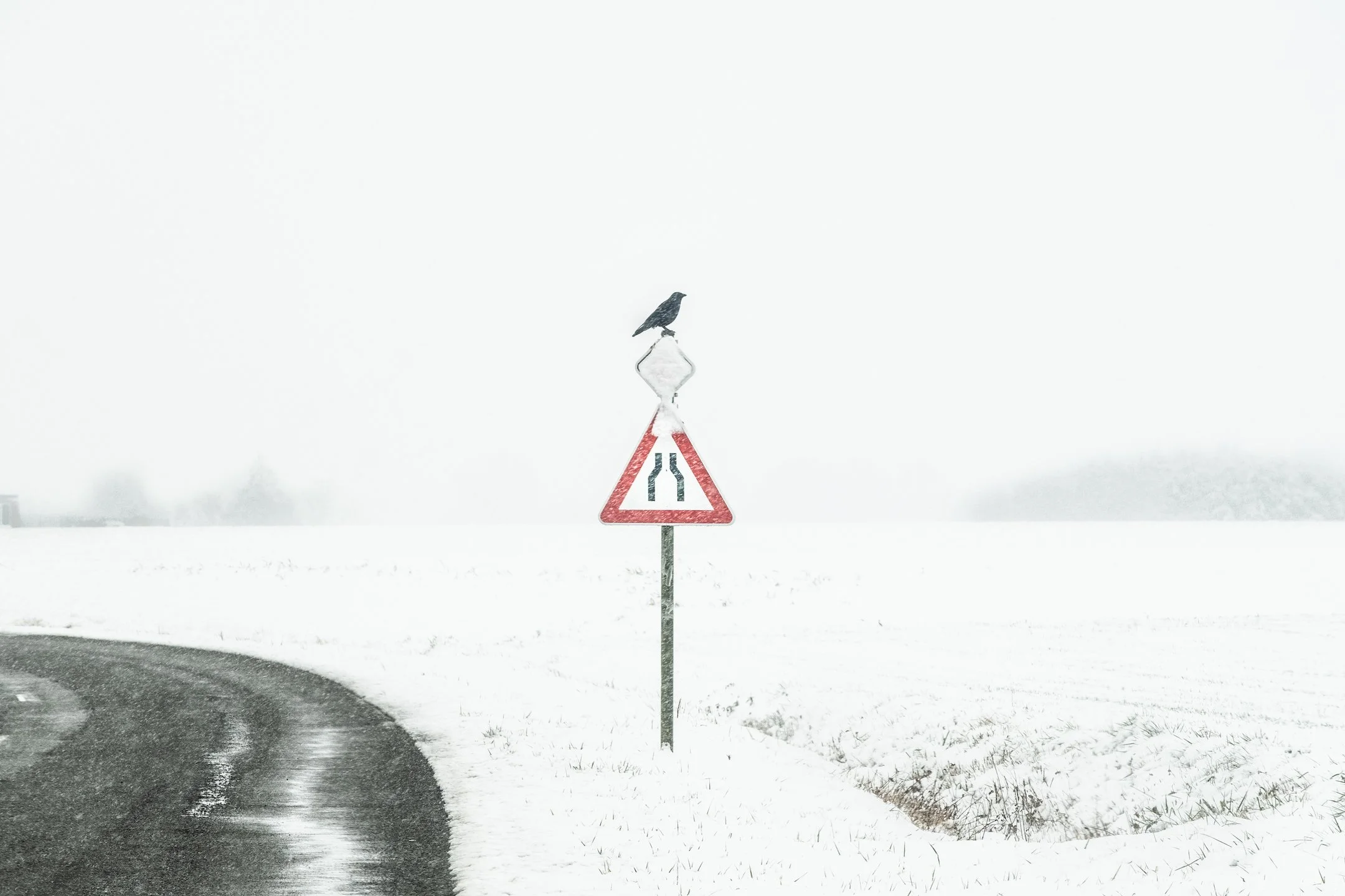 Un panneau de signalisation routière avec une silhouette de corbeau perché dessus, dans un paysage enneigé, avec un ciel brumeux et un chemin courbe à gauche.