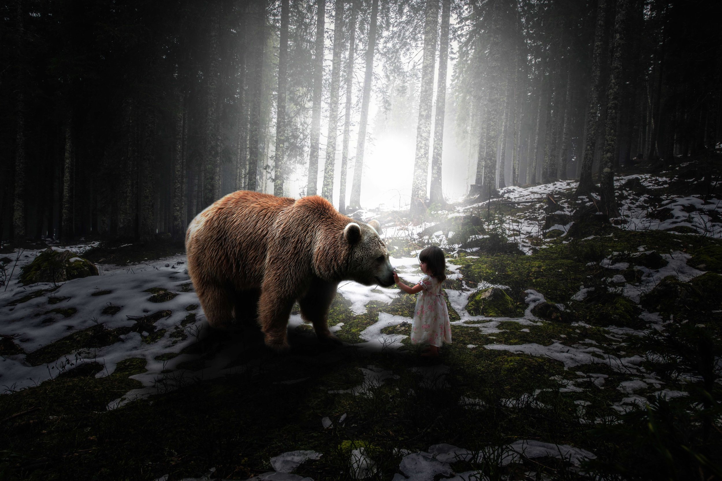 Une petite fille en robe blanche touche le museau d'un ours brun dans une forêt enneigée, avec la lumière du soleil filtrant à travers les arbres.