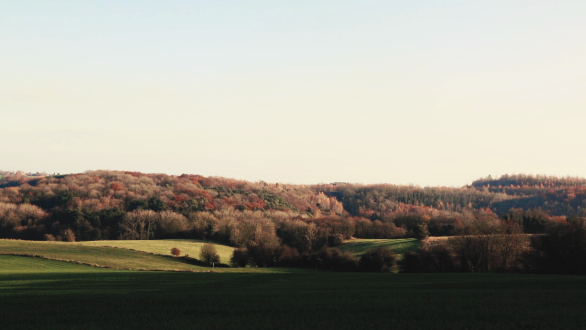 Paysage de collines boisées avec des arbres aux couleurs automnales et un champ vert au premier plan, sous un ciel clair.