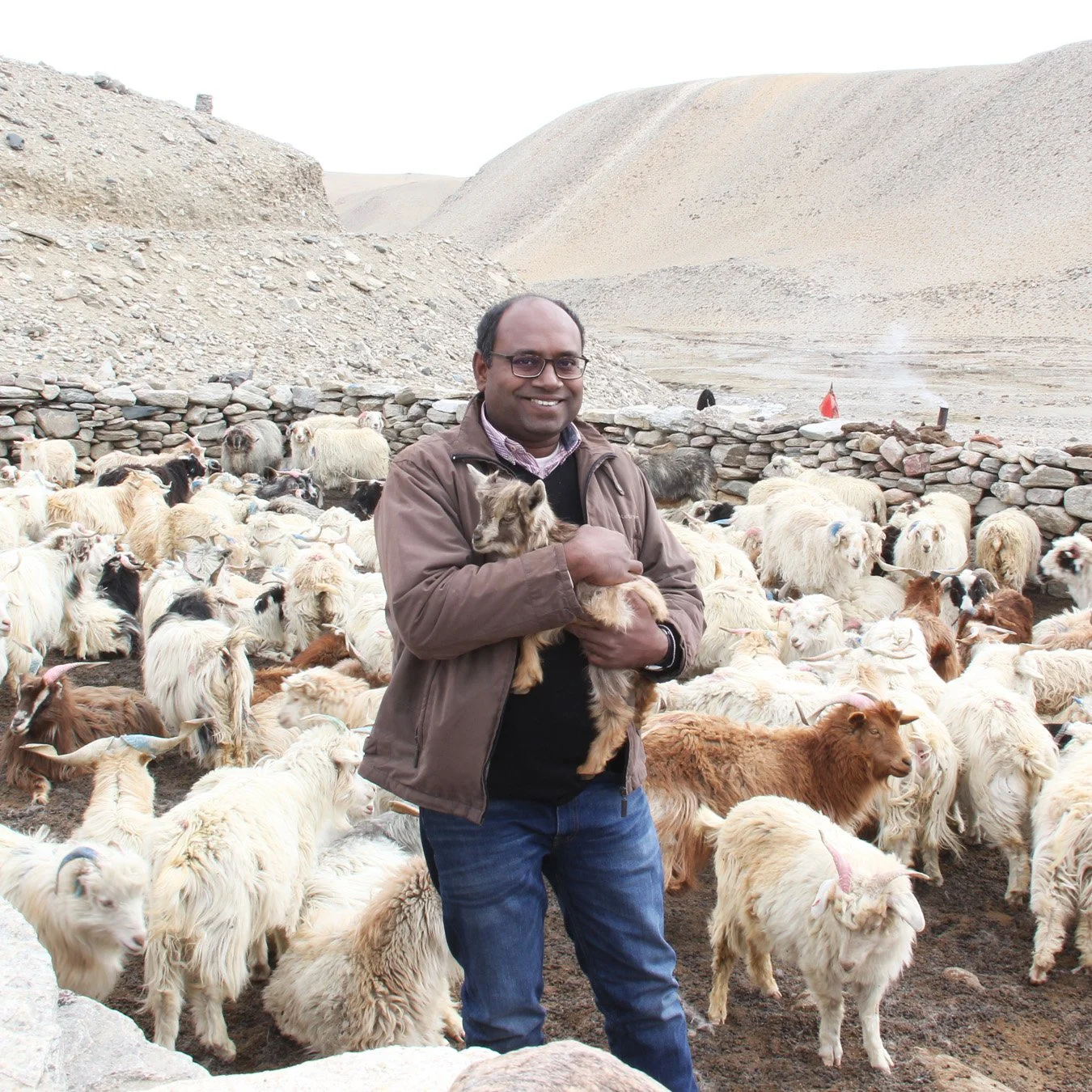 Textile Designer Subhabrata Sadhu on one of his visit to Ladakh holding a baby pashmina goat.
