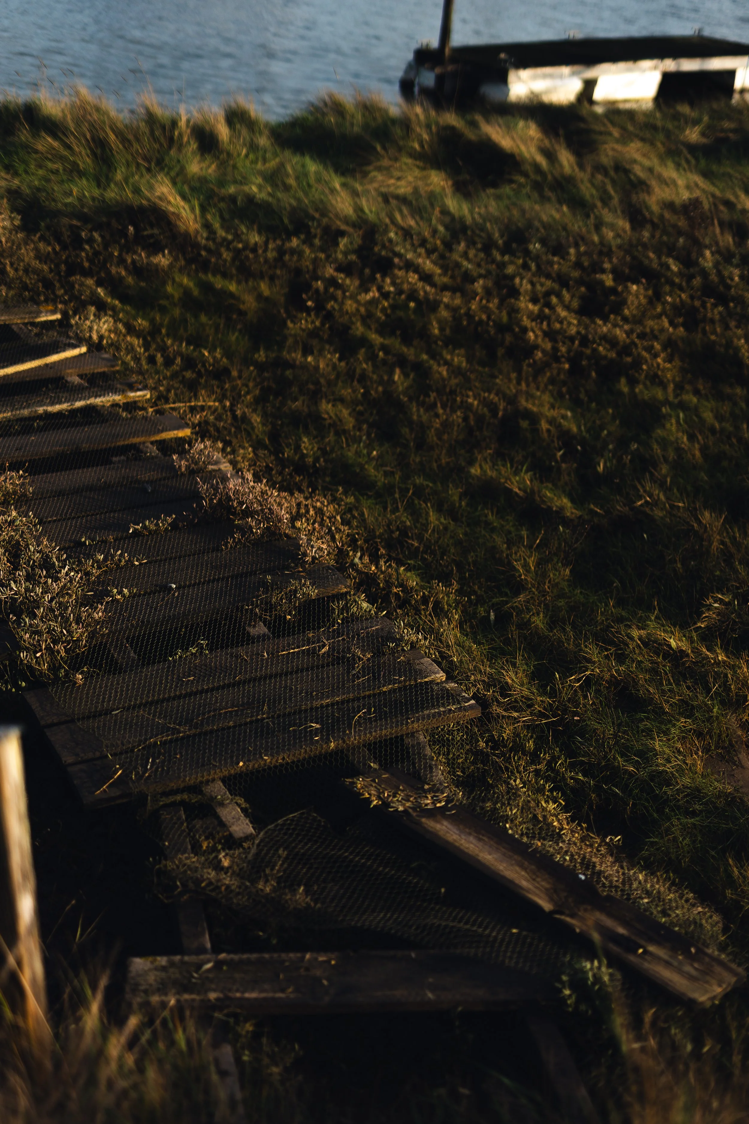 A weathered wooden pier partially collapsed on a grassy shoreline, with water in the background.