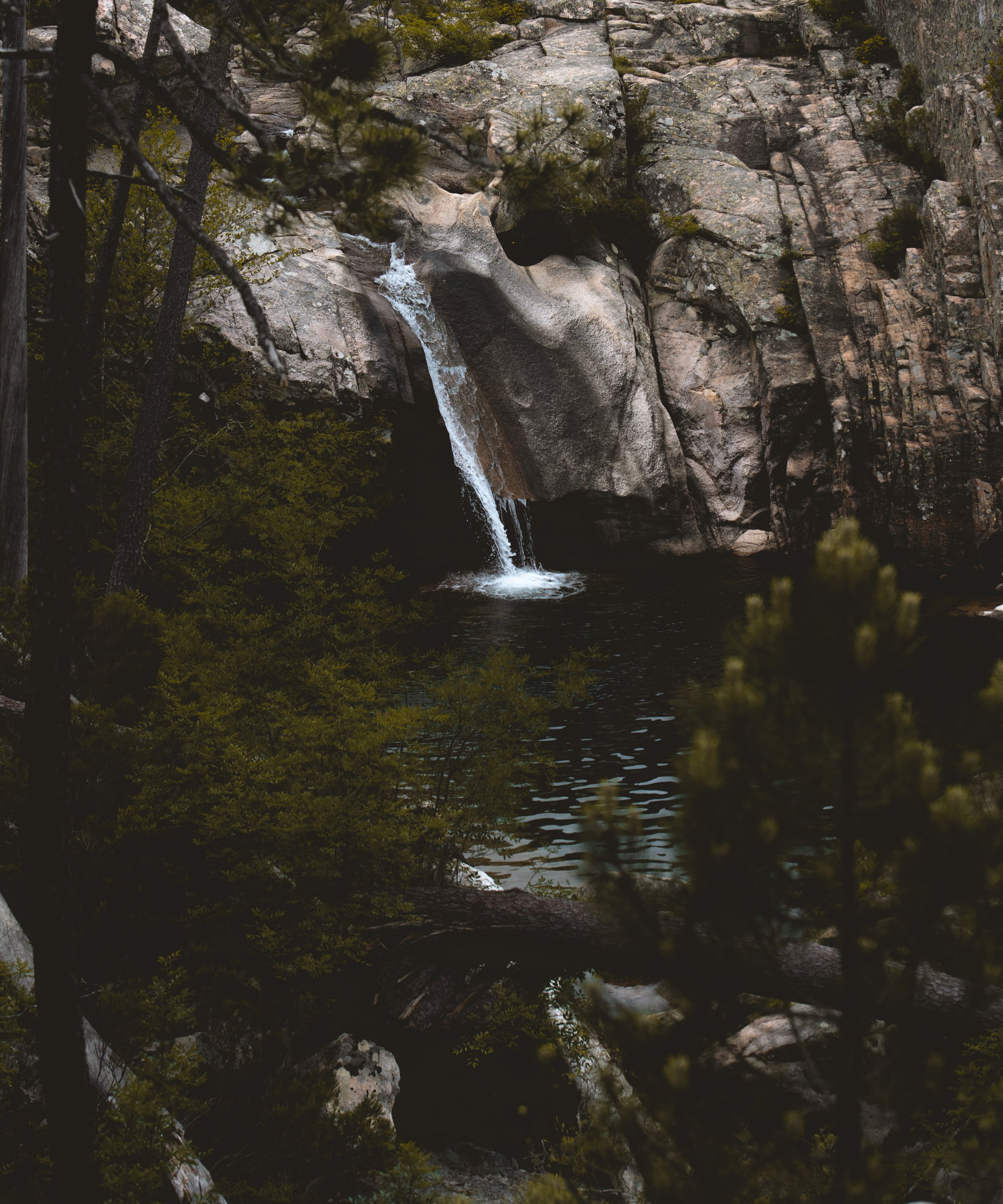 A small waterfall cascading down rocks into a dark pool of water surrounded by trees and dense forest.