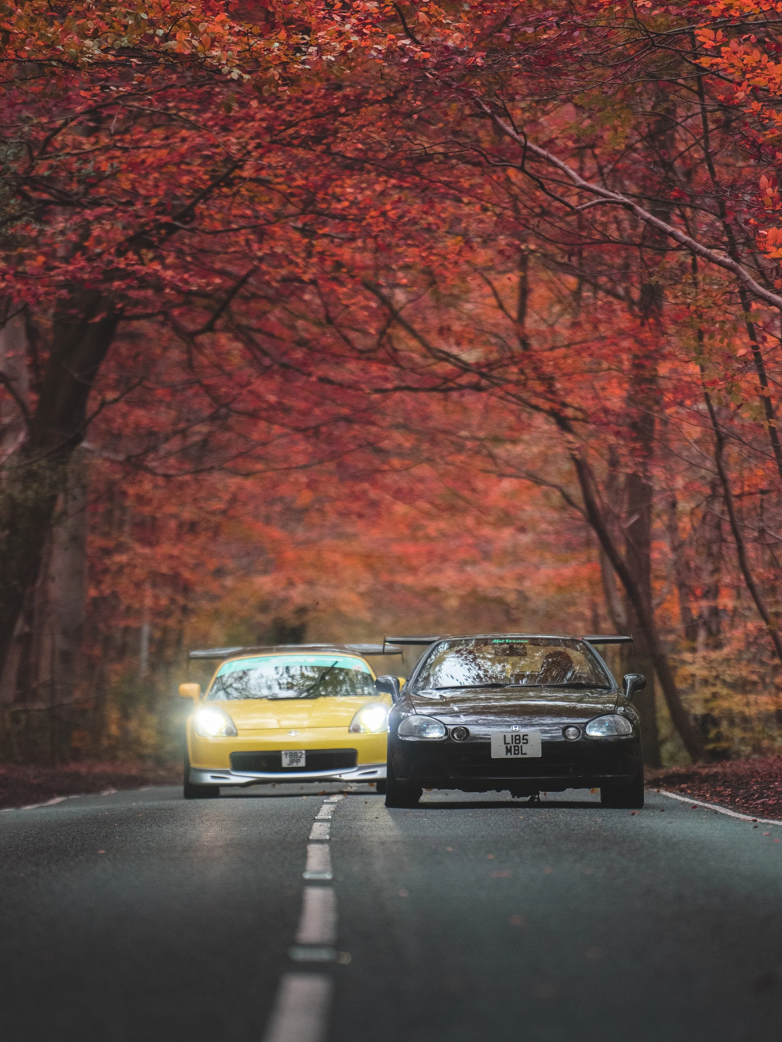 Two cars, one black and one yellow, parked on a road surrounded by vibrant red and orange autumn trees.