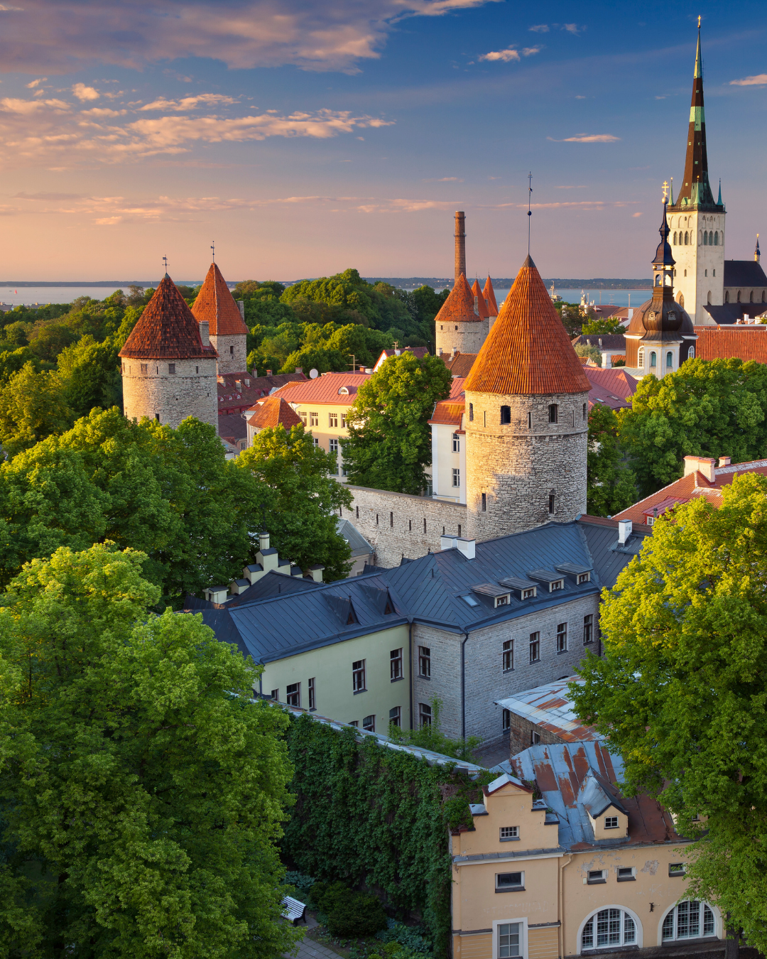 A Cultural Quest in Tallinn.png