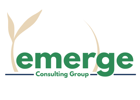 Emerge Consulting Group