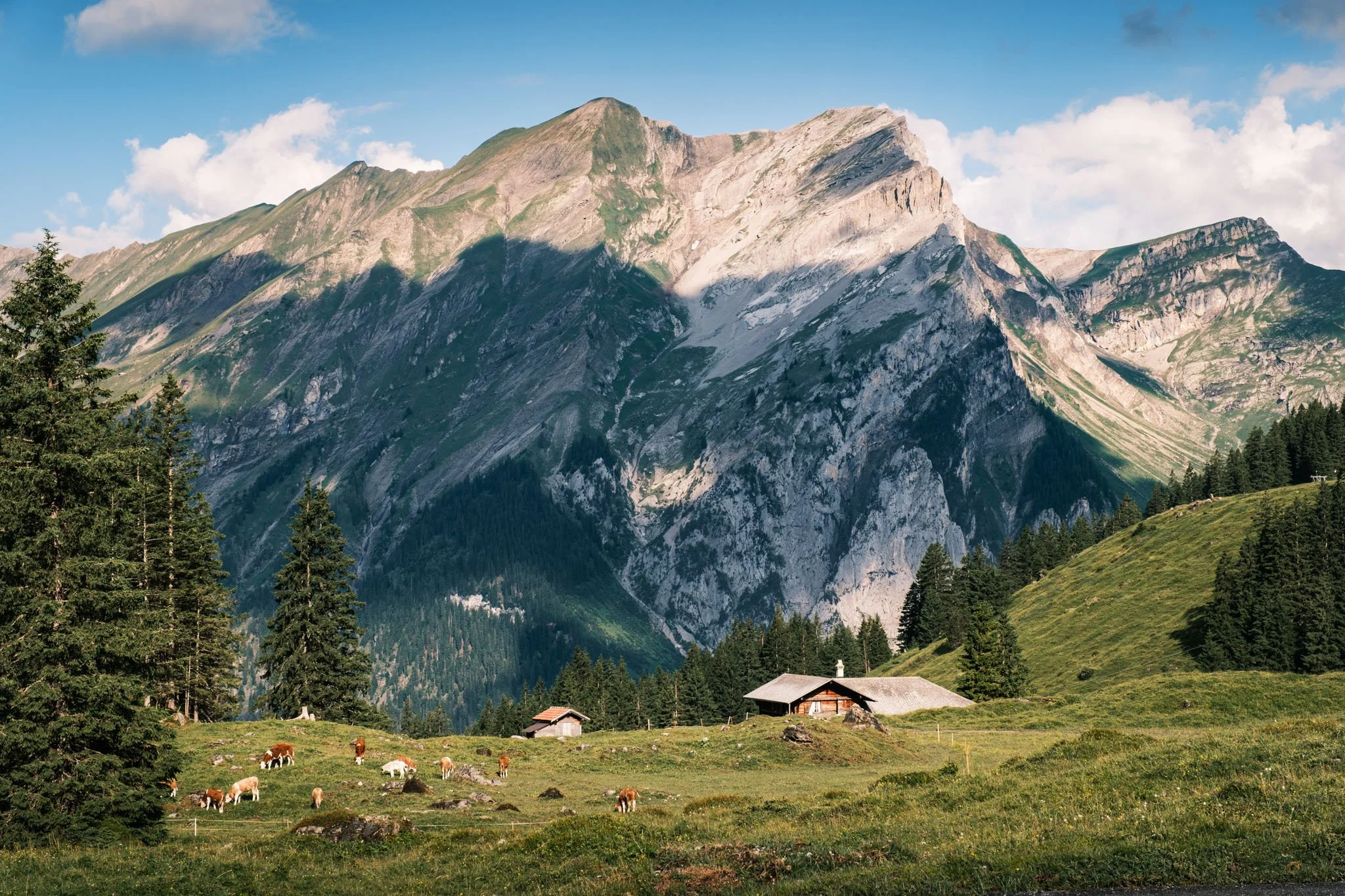 Paysage de montagnes avec des pâturages verts, des maisons en bois, et des vaches paissant, sous un ciel bleu avec quelques nuages. Reportage outdoor, mise en valeur du territoire et tourisme durable par Guillaume Donsimoni