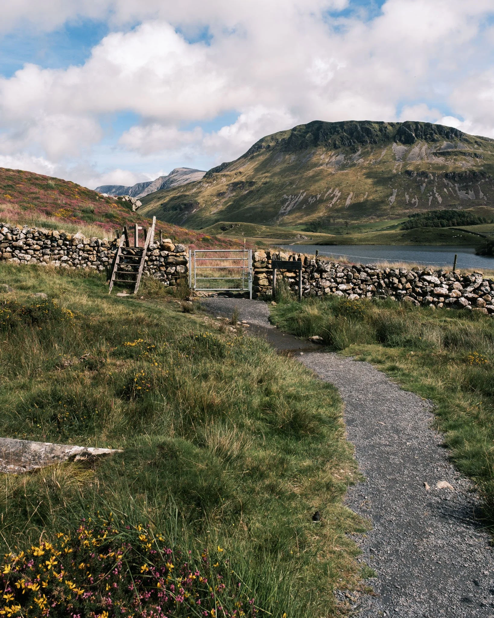 Wales - A gravel path crosses a green landscape with wildflowers, leading to a stone fence and a metal gate, with mountains and a lake in the background under a partially cloudy sky. Outdoor reportage,