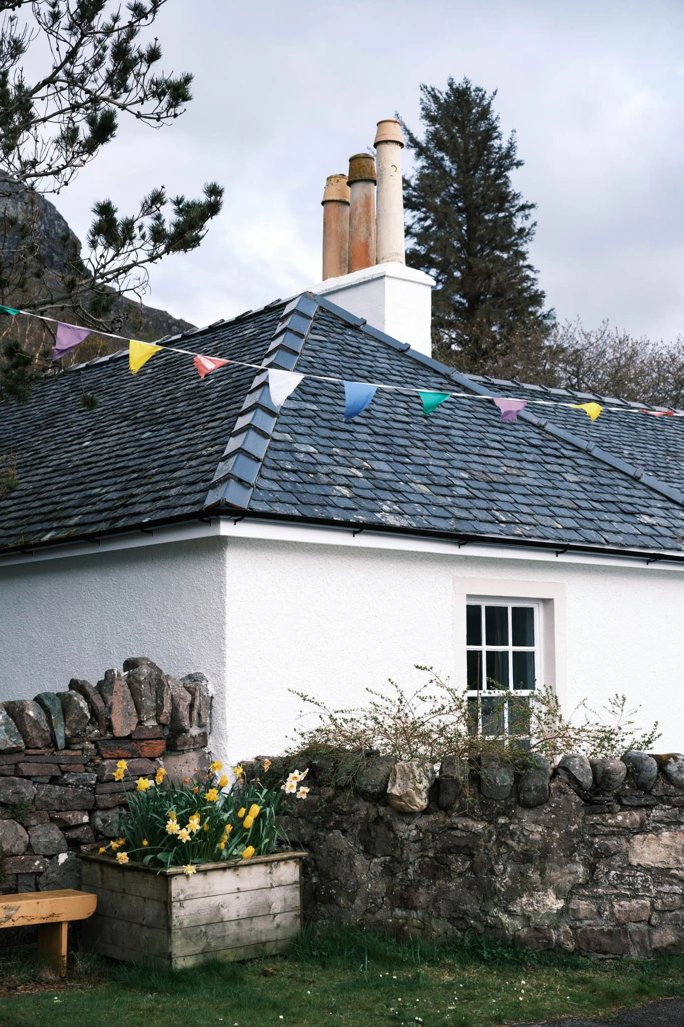 Highland - Scotland - Une maison avec un toit en tuiles, une fenêtre, un mur blanc, un jardin avec une pierre et des plantes, ainsi qu'un panier en bois avec des fleurs jaunes et blanches.