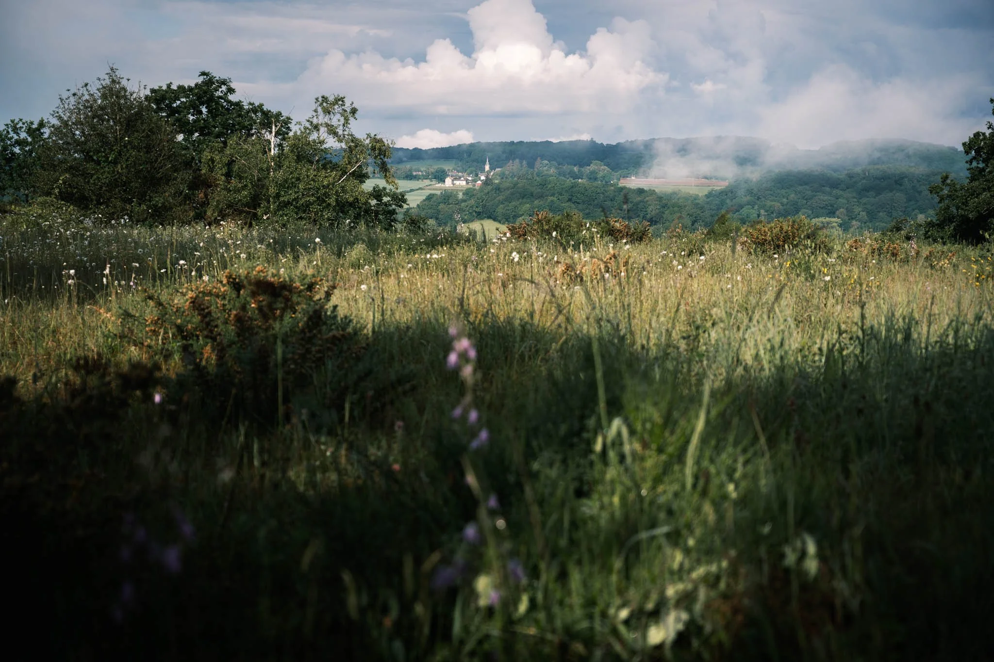 Suisse Normande - Paysage rural avec des champs verts, des arbres et une église au loin, sous un ciel nuageux avec de la fumée ou du brouillard au sommet des collines.