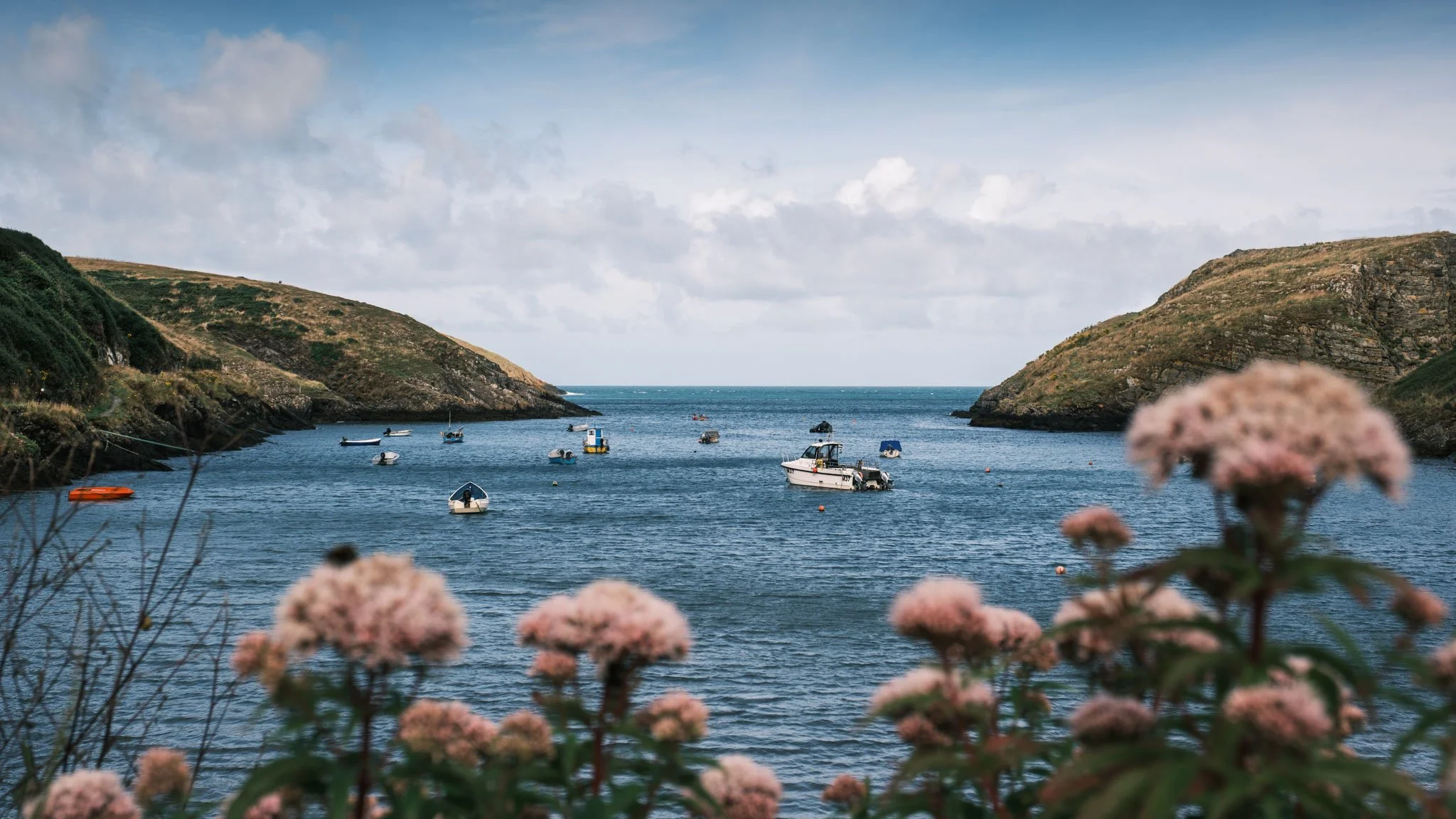 	
Wales: Pembrokeshire coast landscape. Outdoor reportage, regional promotion, and sustainable tourism by Guillaume Donsimoni.