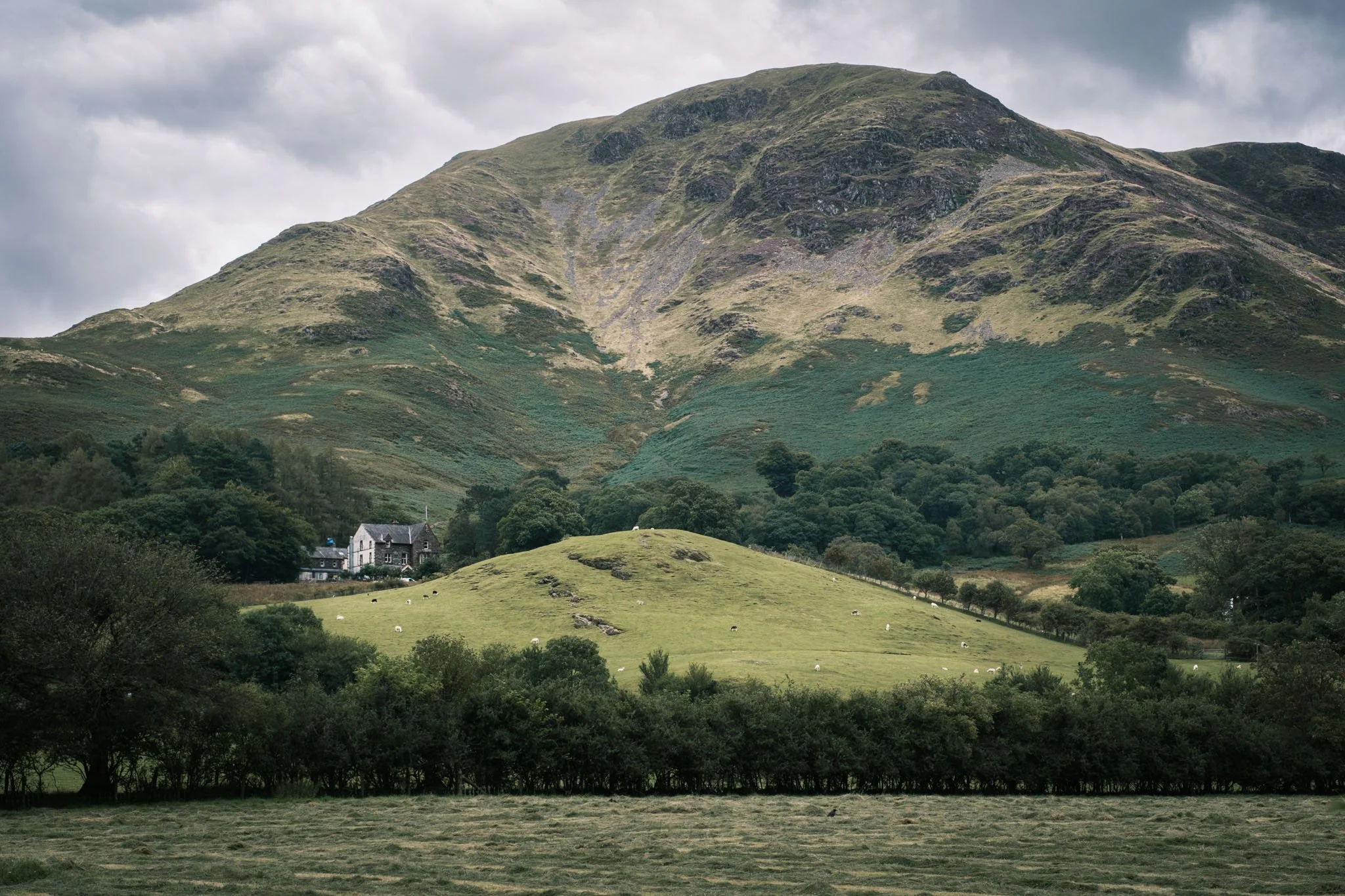 Lake District - Paysage de montagnes verdoyantes avec une maison et des moutons dans les champs.  Reportage outdoor, mise en valeur du territoire et tourisme durable par Guillaume Donsimoni.