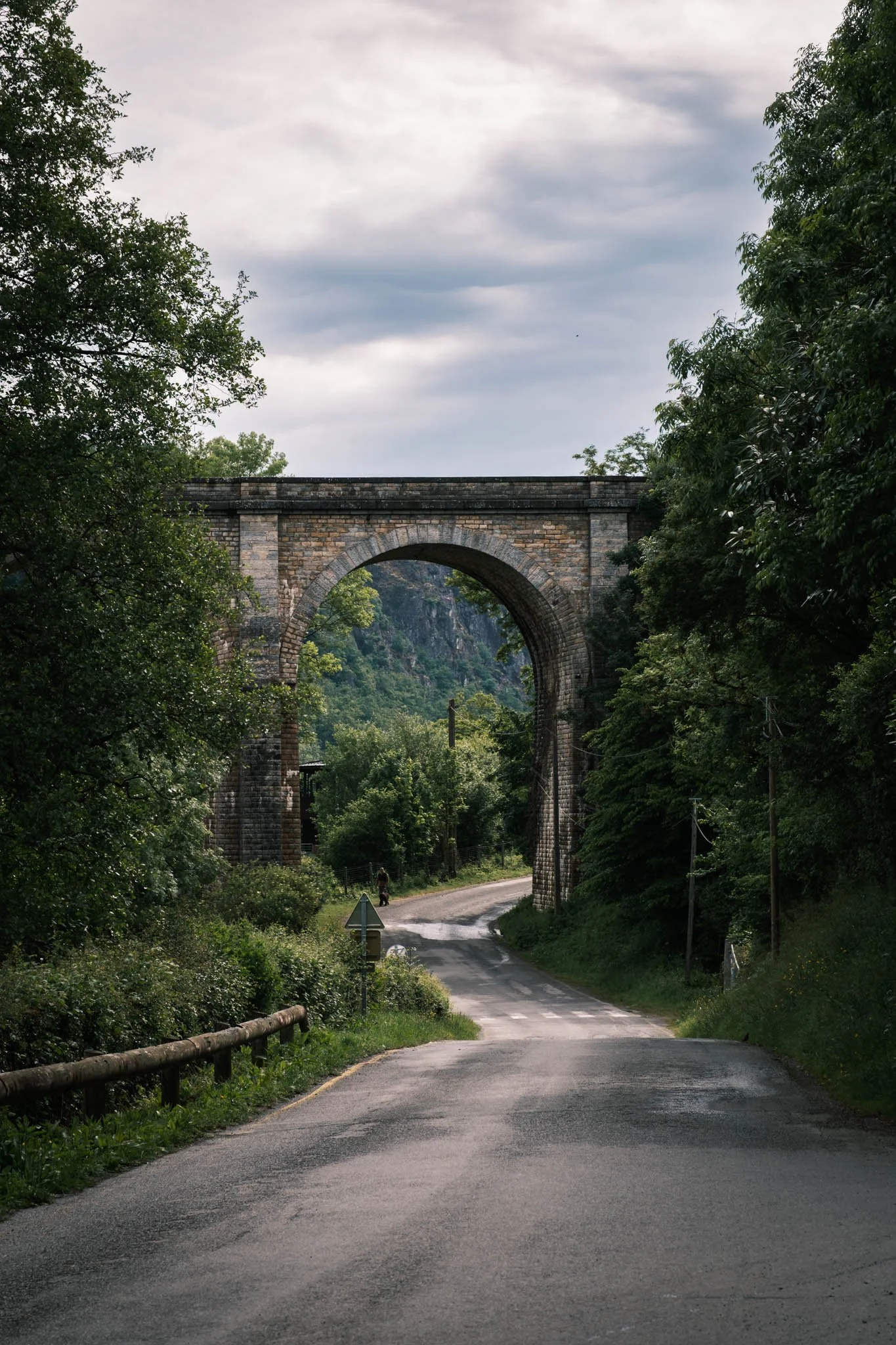 Suisse Normande - Suisse Normande - Une route sinueuse passe sous une vieille arche de pont en pierre, entourée de végétation dense et d'arbres verts, sous un ciel nuageux.