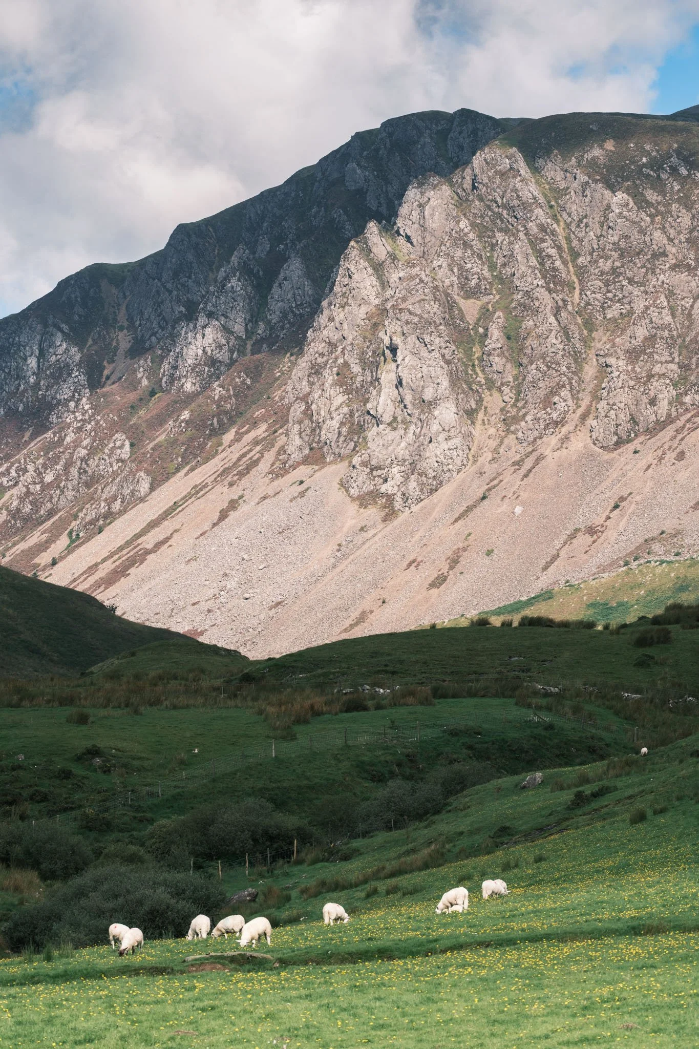 Wales - Mountain landscape with sheep grazing in a green field, with a large rocky mountain in the background under a partially cloudy sky. Outdoor reportage, regional promotion, and sustainable tourism by Guillaume Donsim