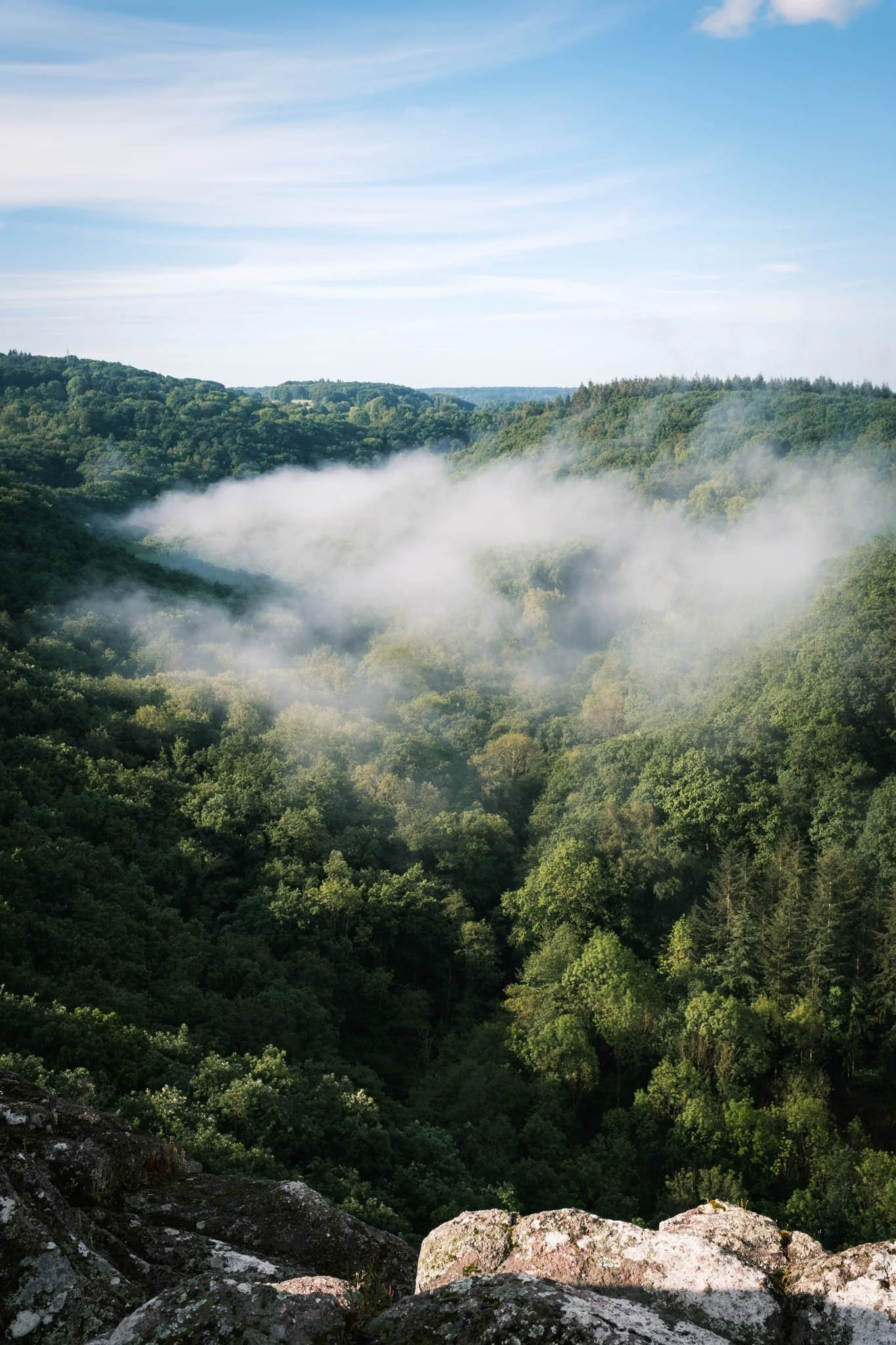 Vue panoramique d'une vallée verdoyante avec des collines recouvertes d'arbres, brume ou nuages bas dans la vallée, ciel bleu avec quelques nuages.