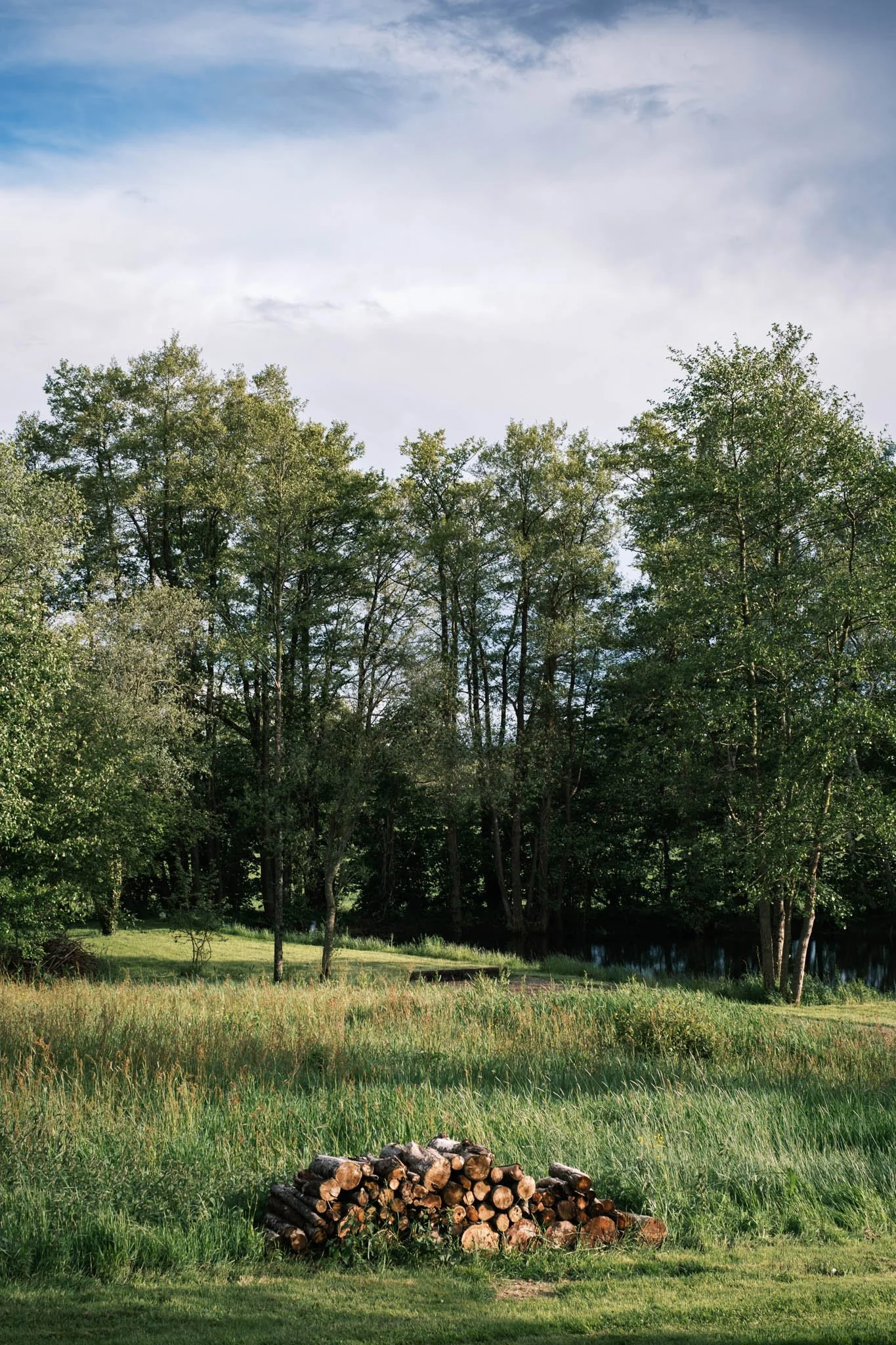 Suisse Normande - Une forêt verdoyante avec un petit étang en arrière-plan, des troncs de bois empilés au premier plan, et une zone herbeuse avec quelques petites arbres.