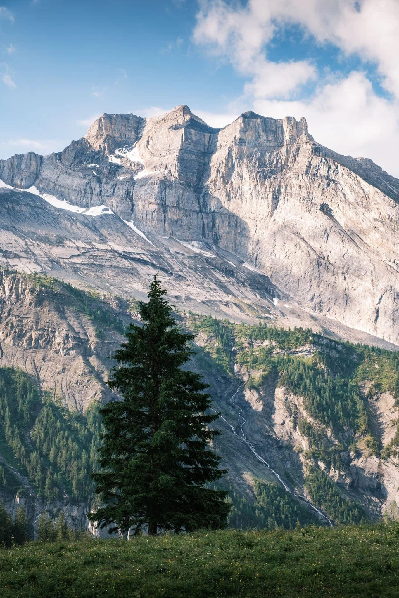 Photographie de montagne brute, paroi rocheuse et sapin solitaire Alpins