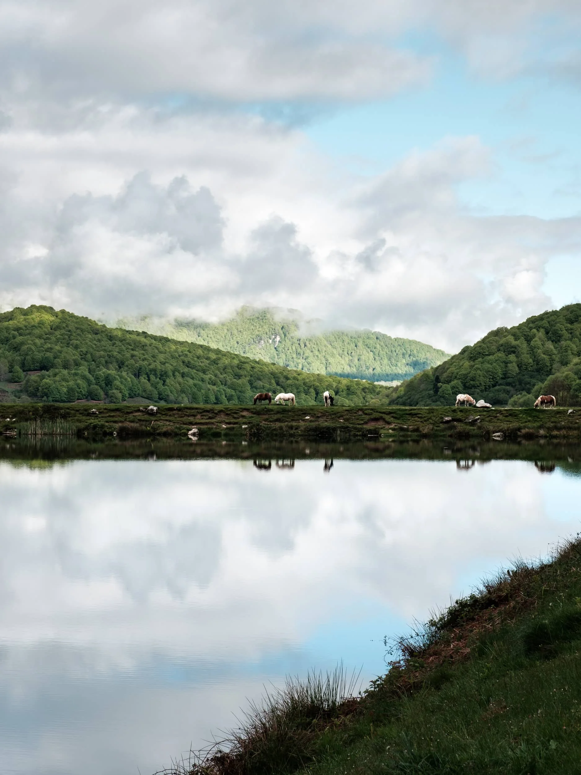 lac-pyrénées-reflet.jpg