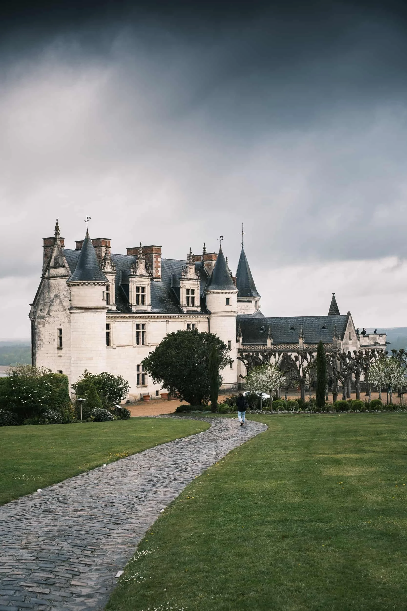 chateau-loire-amboise.jpg