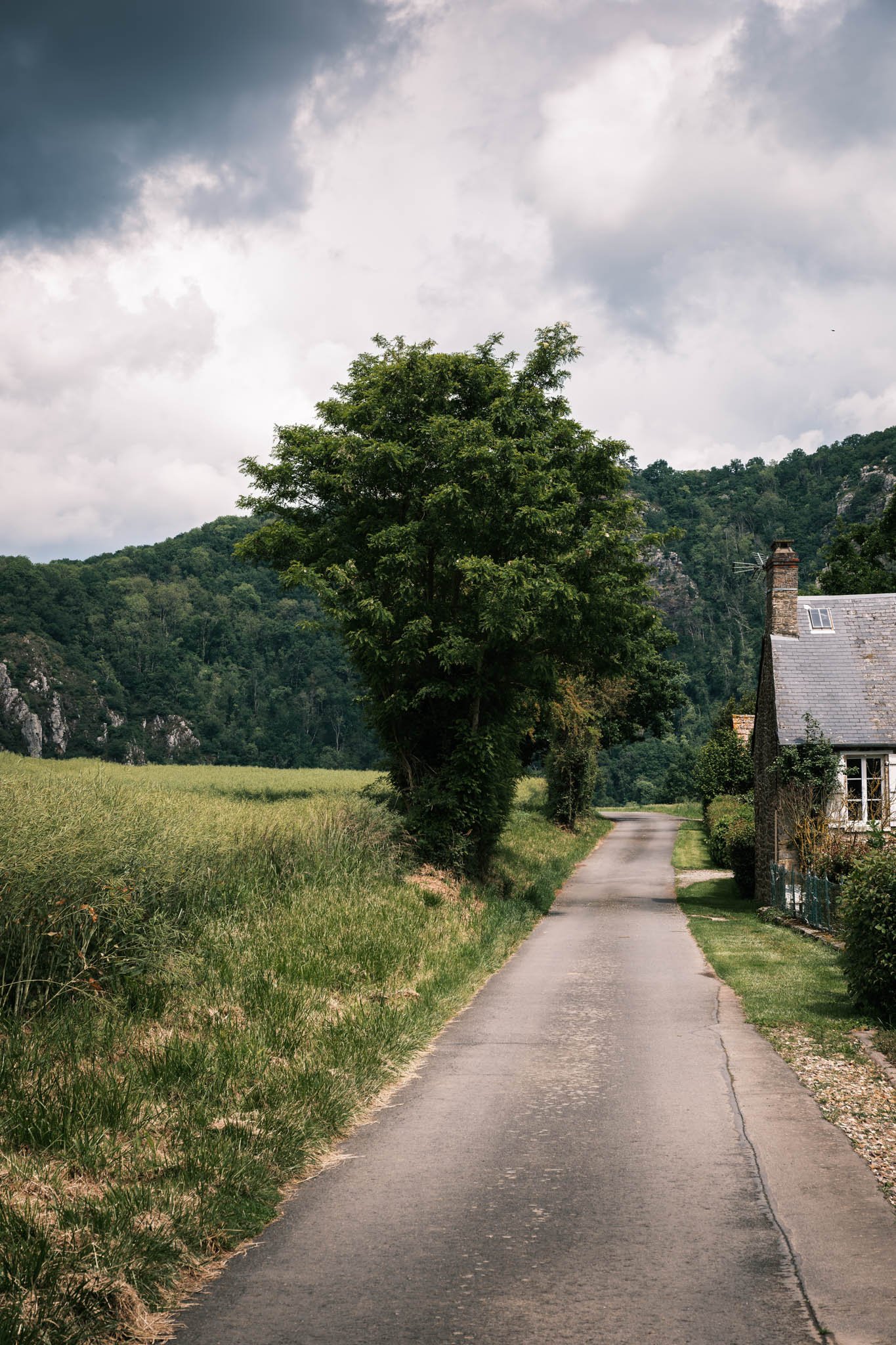 Suisse Normande - Un chemin rural serpentant à côté d'une maison en pierre, entouré de champs verts, avec une montagne en arrière-plan et un ciel nuageux.